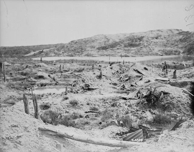View from a trench