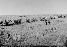 Harvesting on the Sandison Farm, near Brandon, Manitoba, 1892, by J.A. Brock and Co.