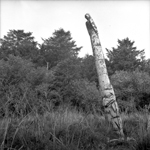 Black and white photograph of a partially decayed and leaning totem pole, in a clearing with long grass. Forest surrounds the scene.