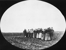 Doukhobor women pulling a plough on the Thunder Hill Colony, Manitoba