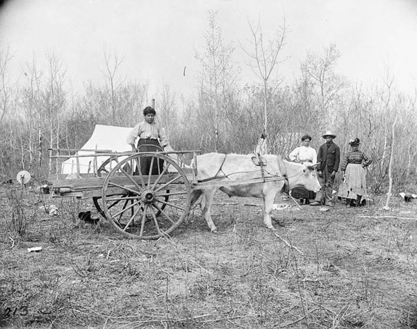 Black and white photograph of a clearing with a white tent, an ox-drawn wooden cart, and several people looking on
