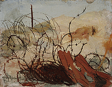 barbed wire and debris from the war in a jumbled pile