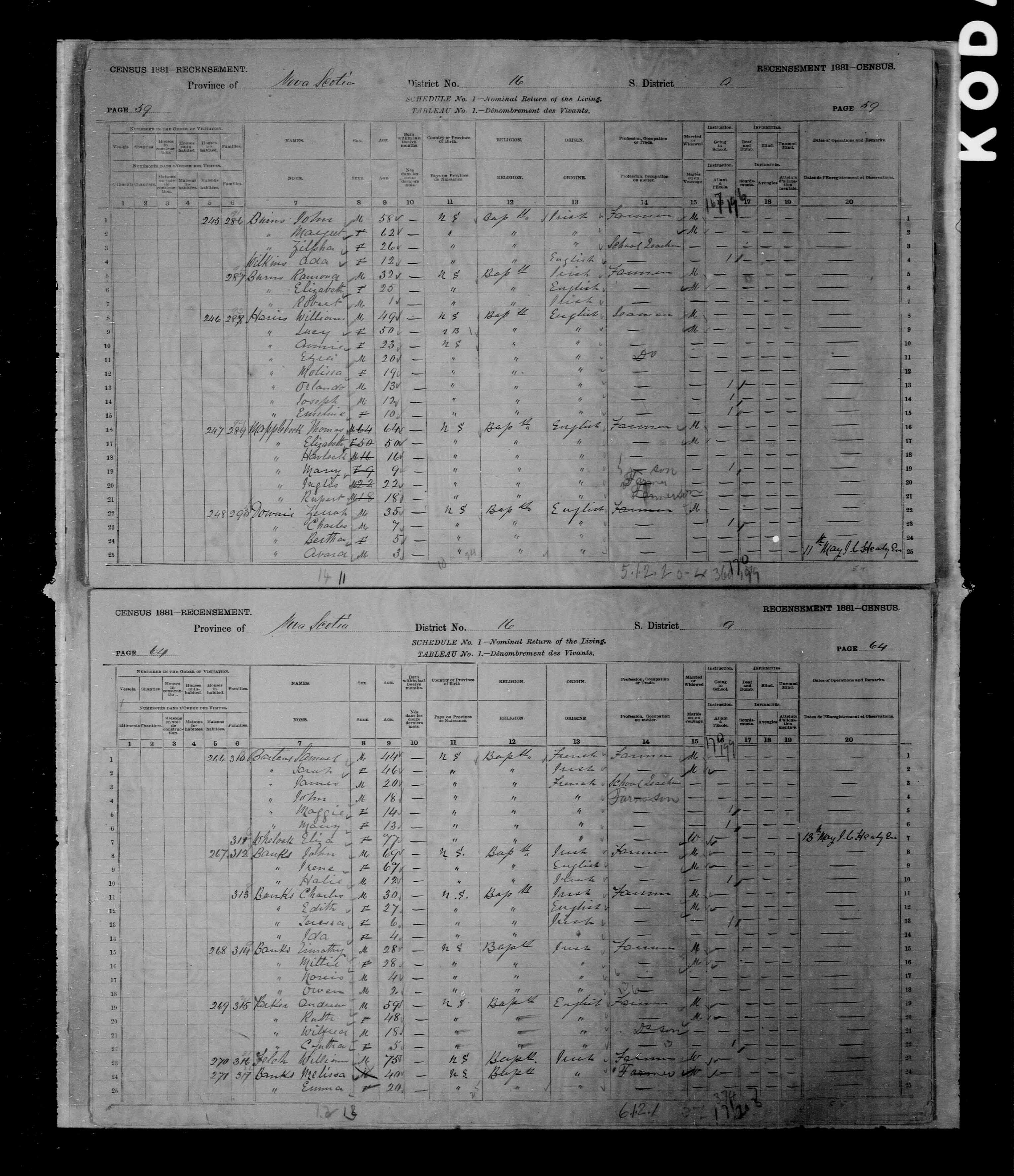 John Harvey Banks (abt.1837-1881) | WikiTree FREE Family Tree