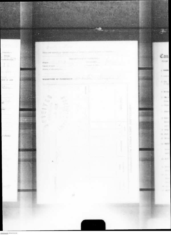 Title: Border Entry, Form 30, 1919-1924 - Mikan Number: 161377 - Microform: t-15330