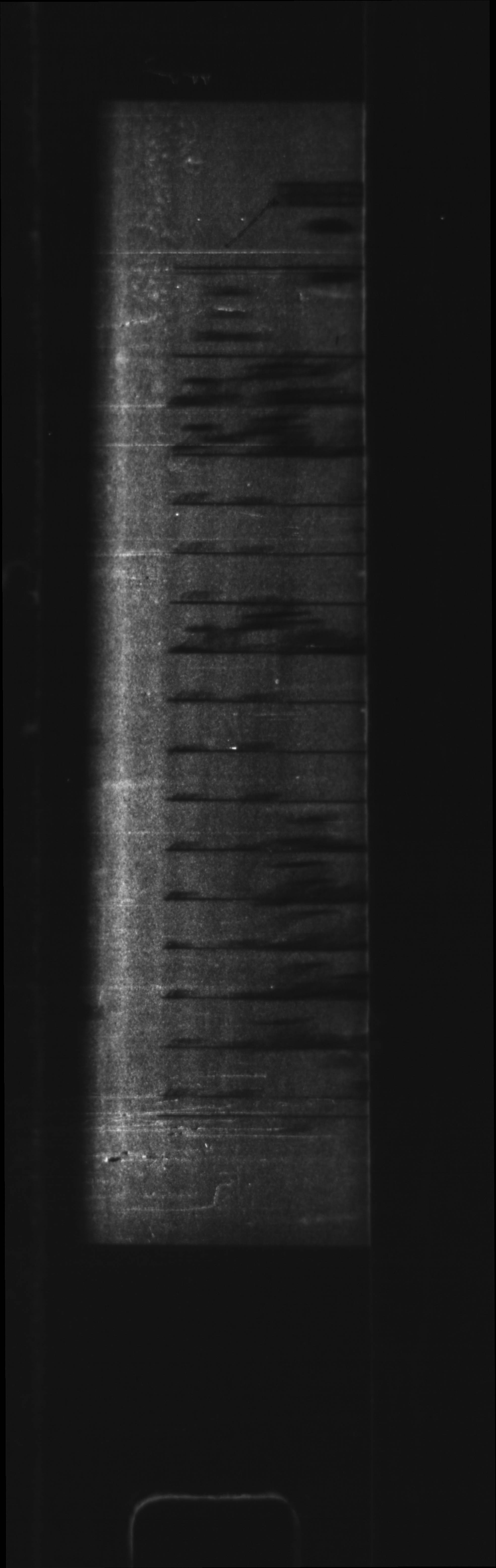 Title: Border Entry, 1908-1918 - Mikan Number: 134855 - Microform: t-5499