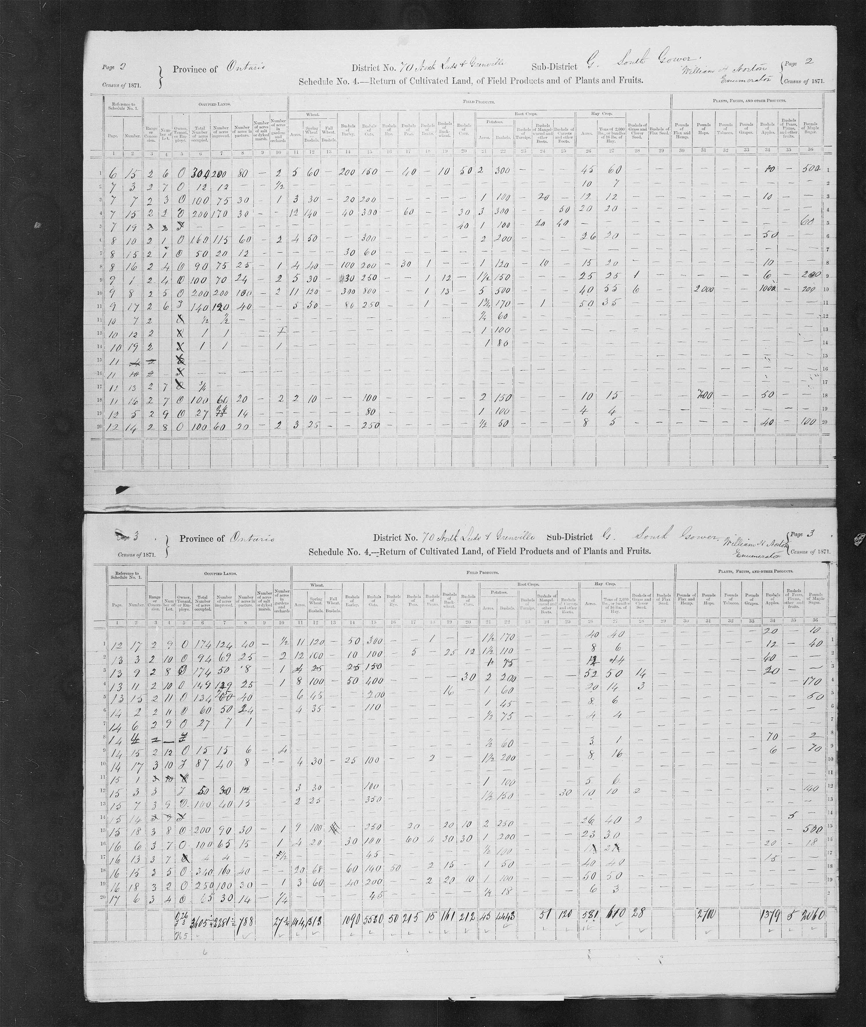 Title: Census of Canada, 1871 - Mikan Number: 142105 - Microform: c-10005