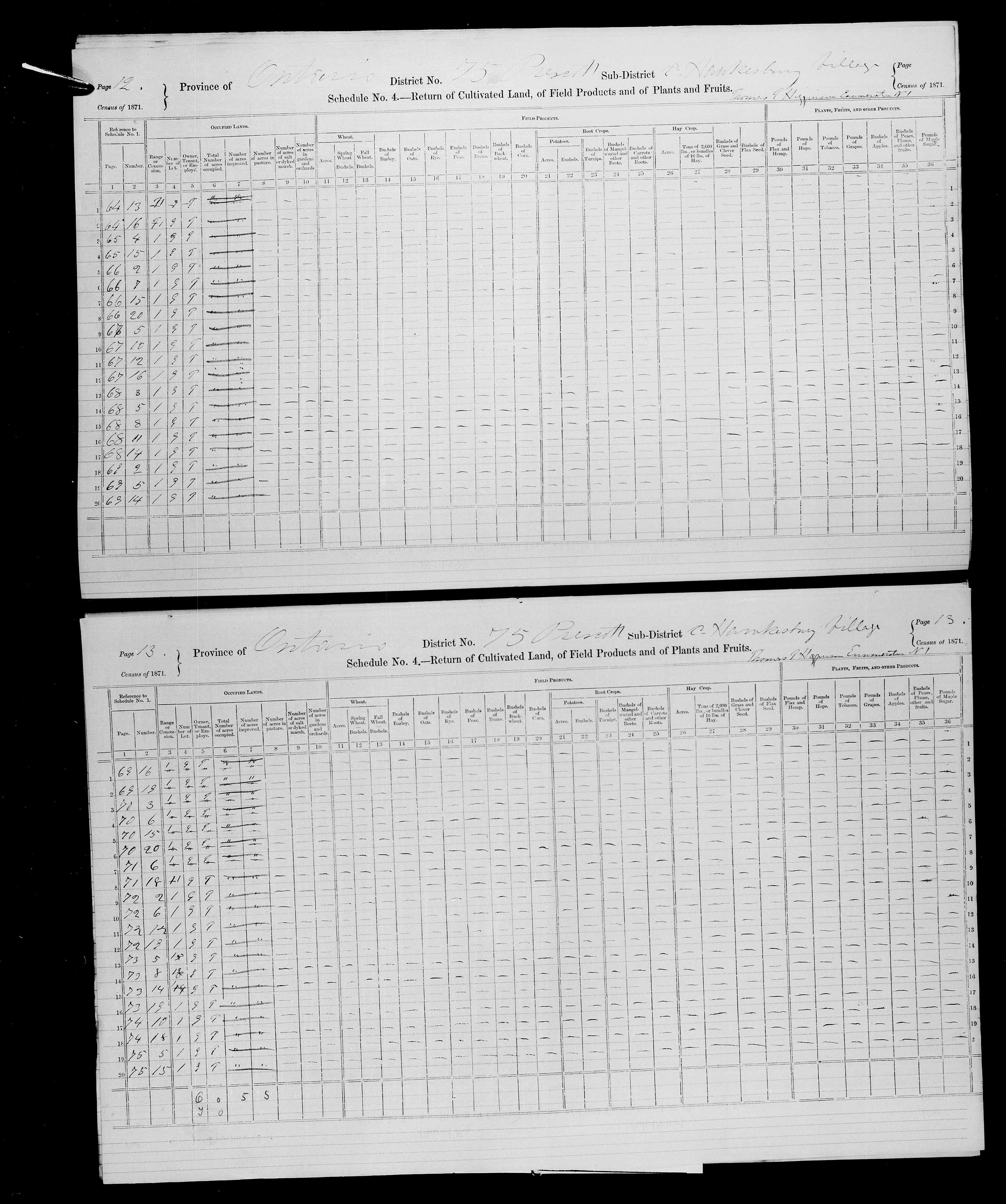 Title: Census of Canada, 1871 - Mikan Number: 142105 - Microform: c-10011