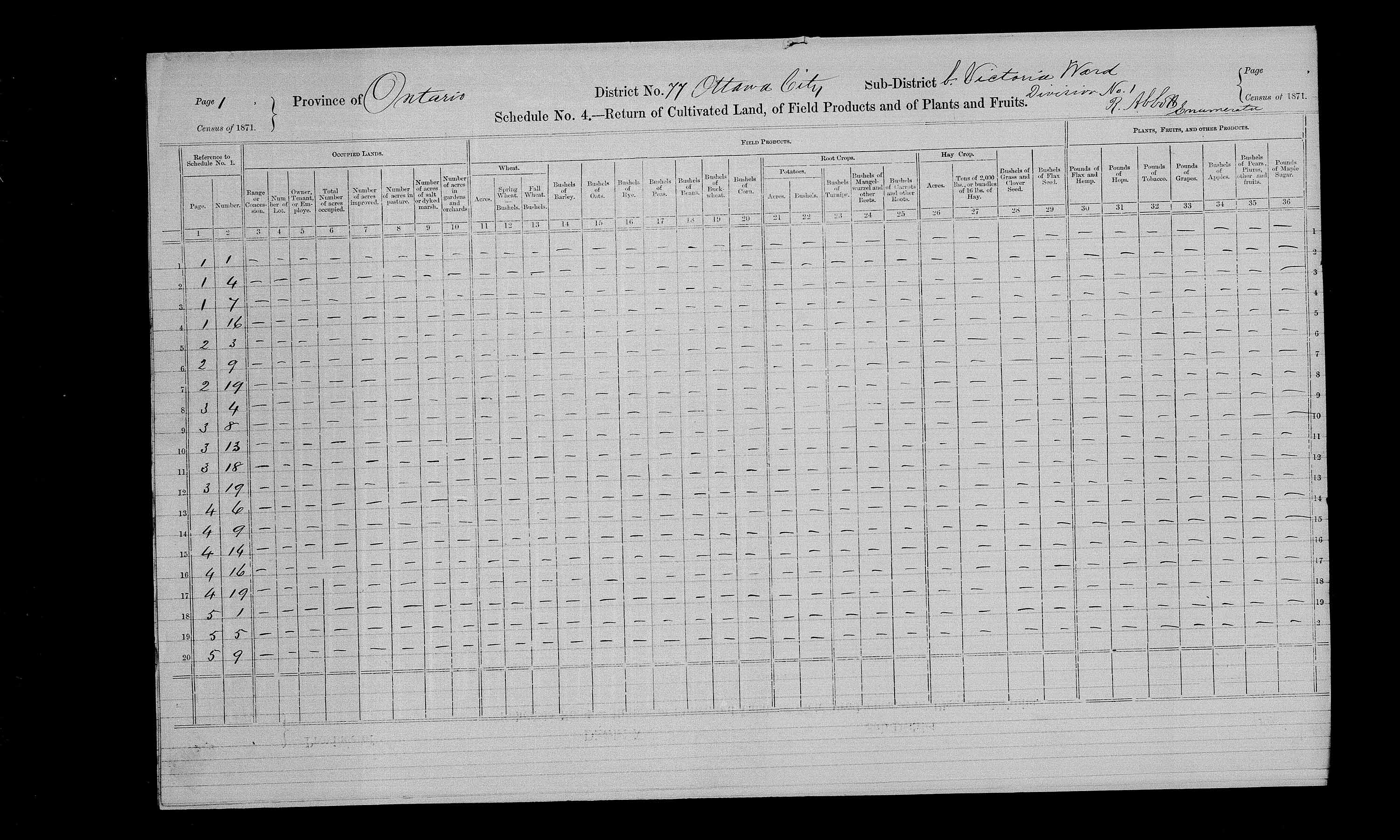 Title: Census of Canada, 1871 - Mikan Number: 142105 - Microform: c-10013