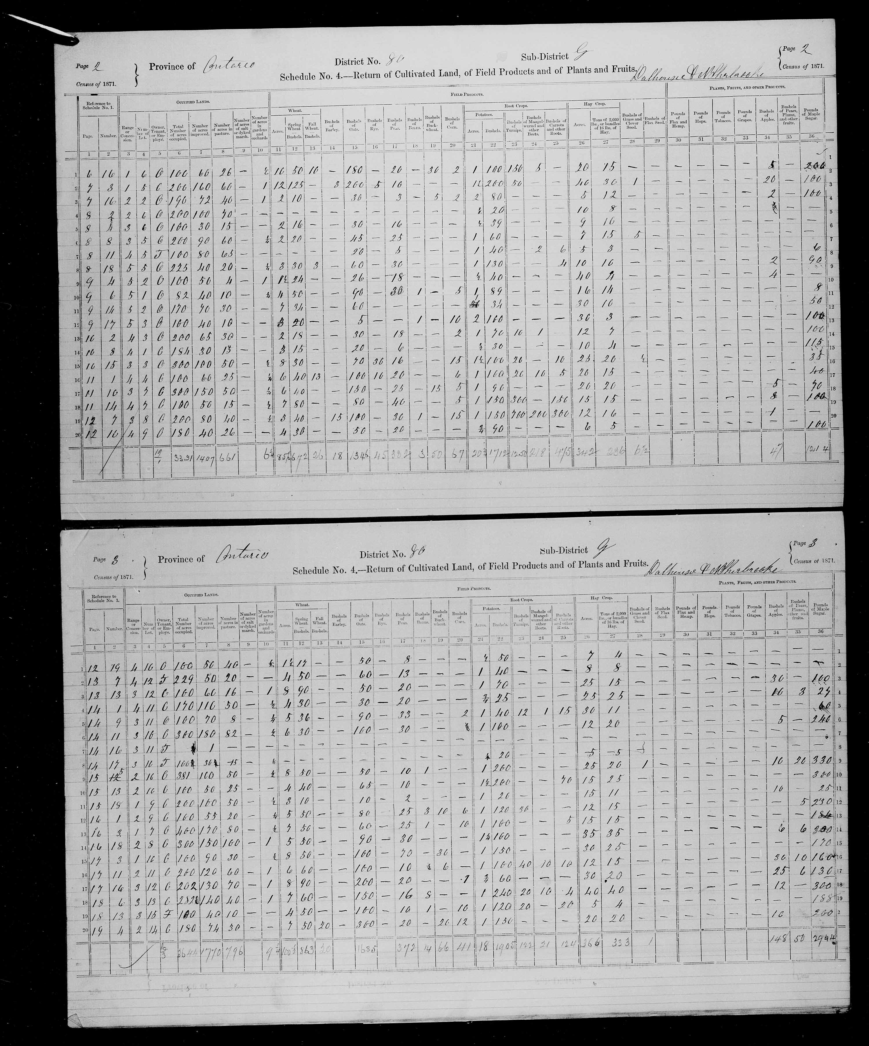 Title: Census of Canada, 1871 - Mikan Number: 142105 - Microform: c-10019