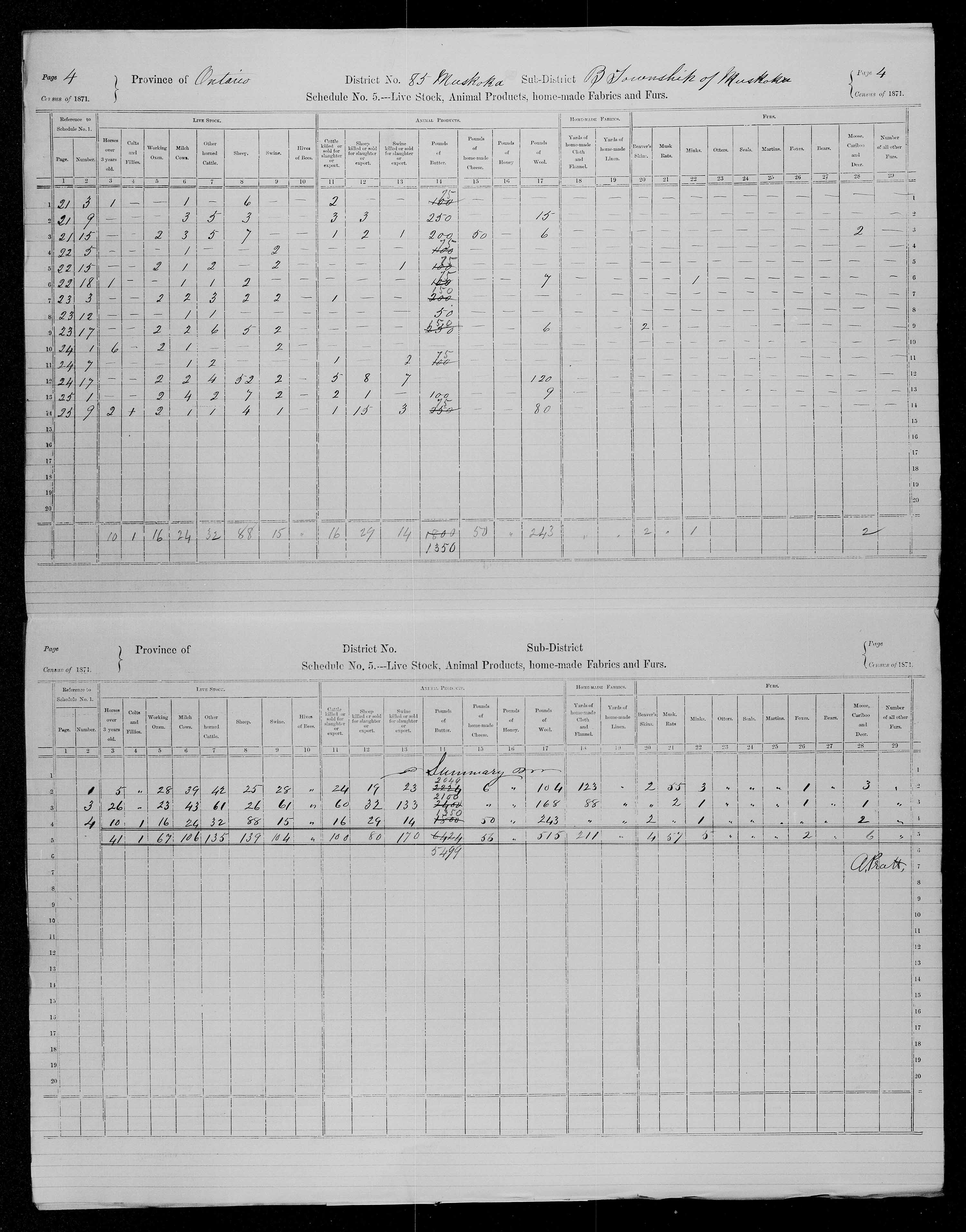 Title: Census of Canada, 1871 - Mikan Number: 142105 - Microform: c-10022