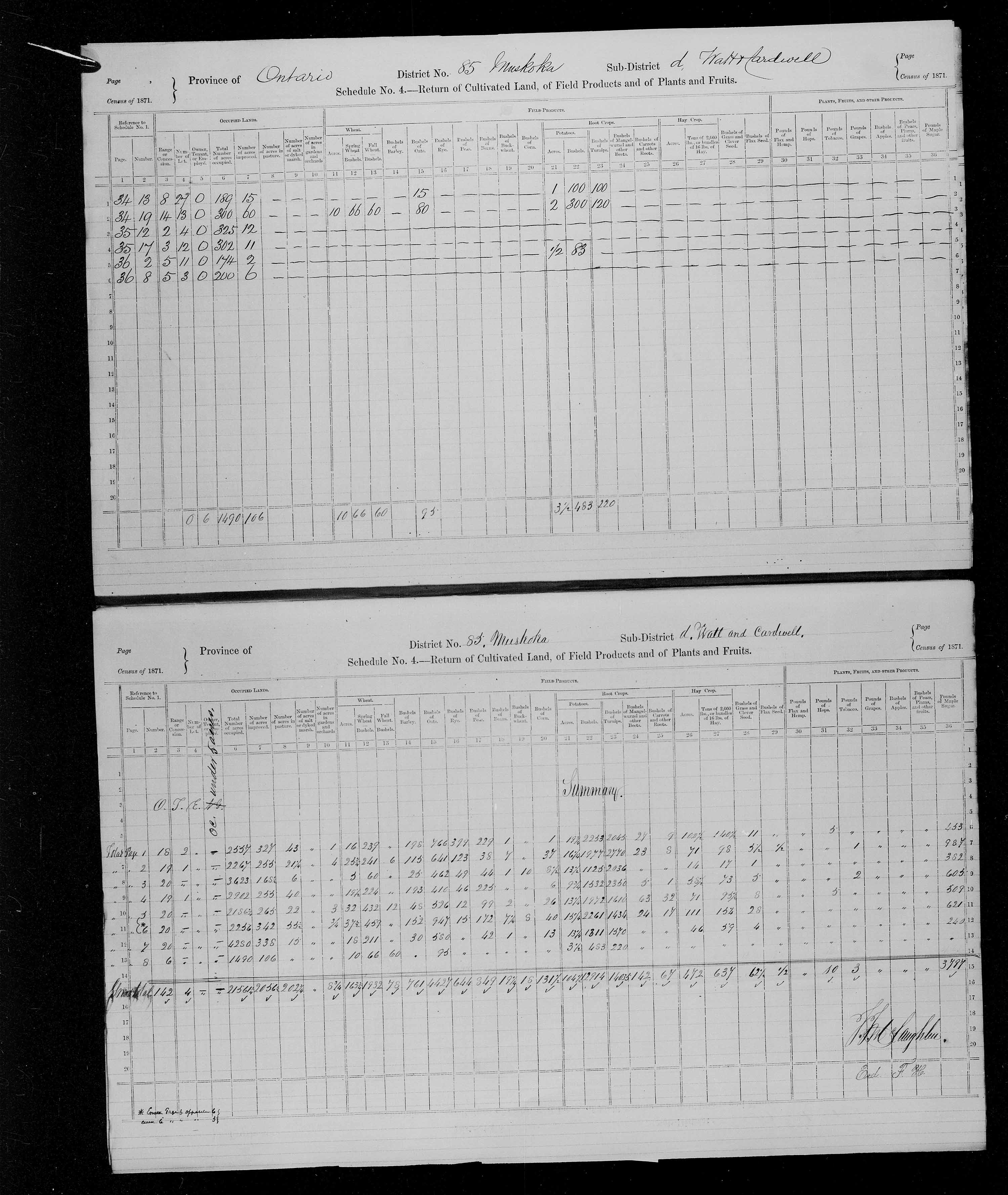 Title: Census of Canada, 1871 - Mikan Number: 142105 - Microform: c-10022