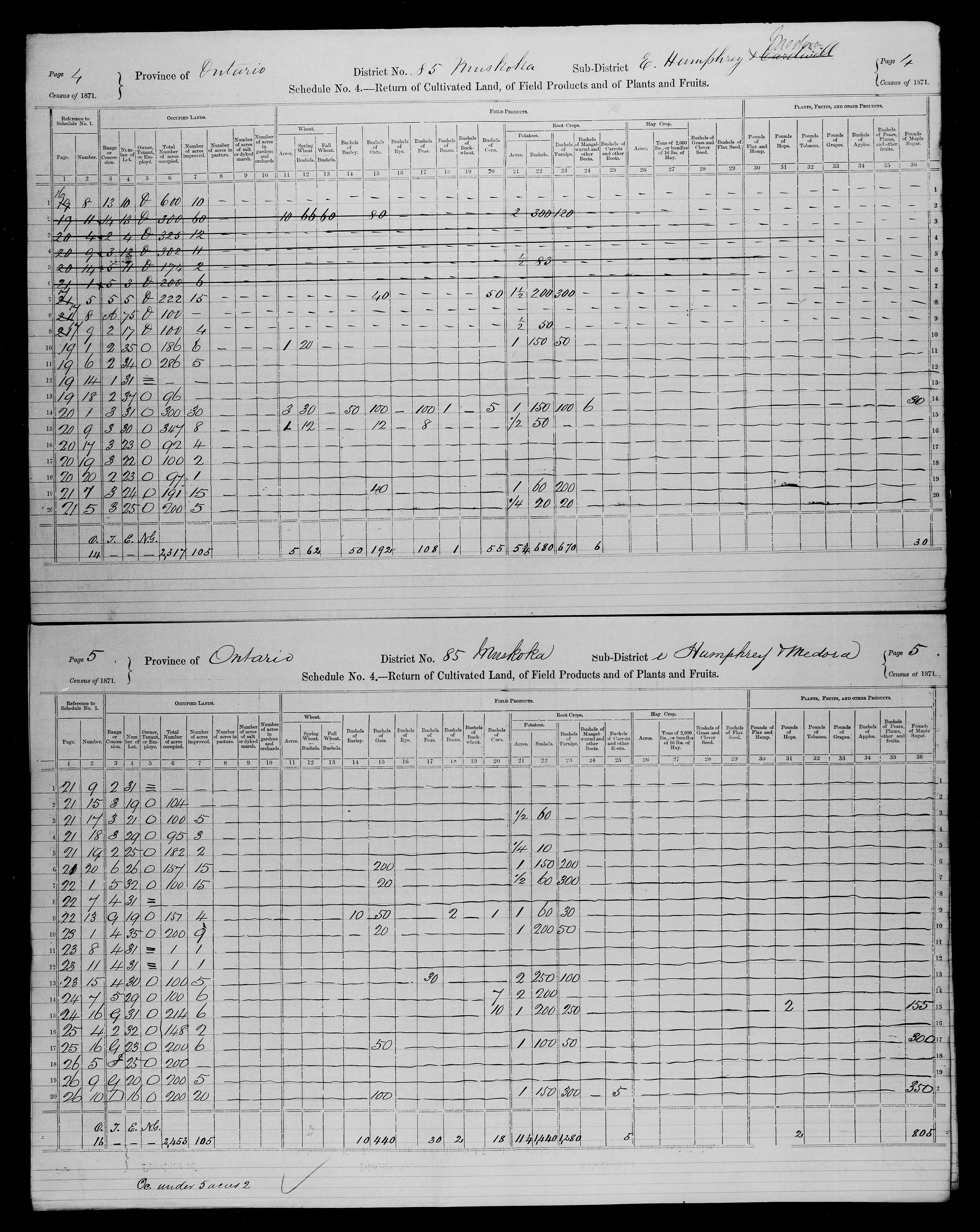 Title: Census of Canada, 1871 - Mikan Number: 142105 - Microform: c-10023