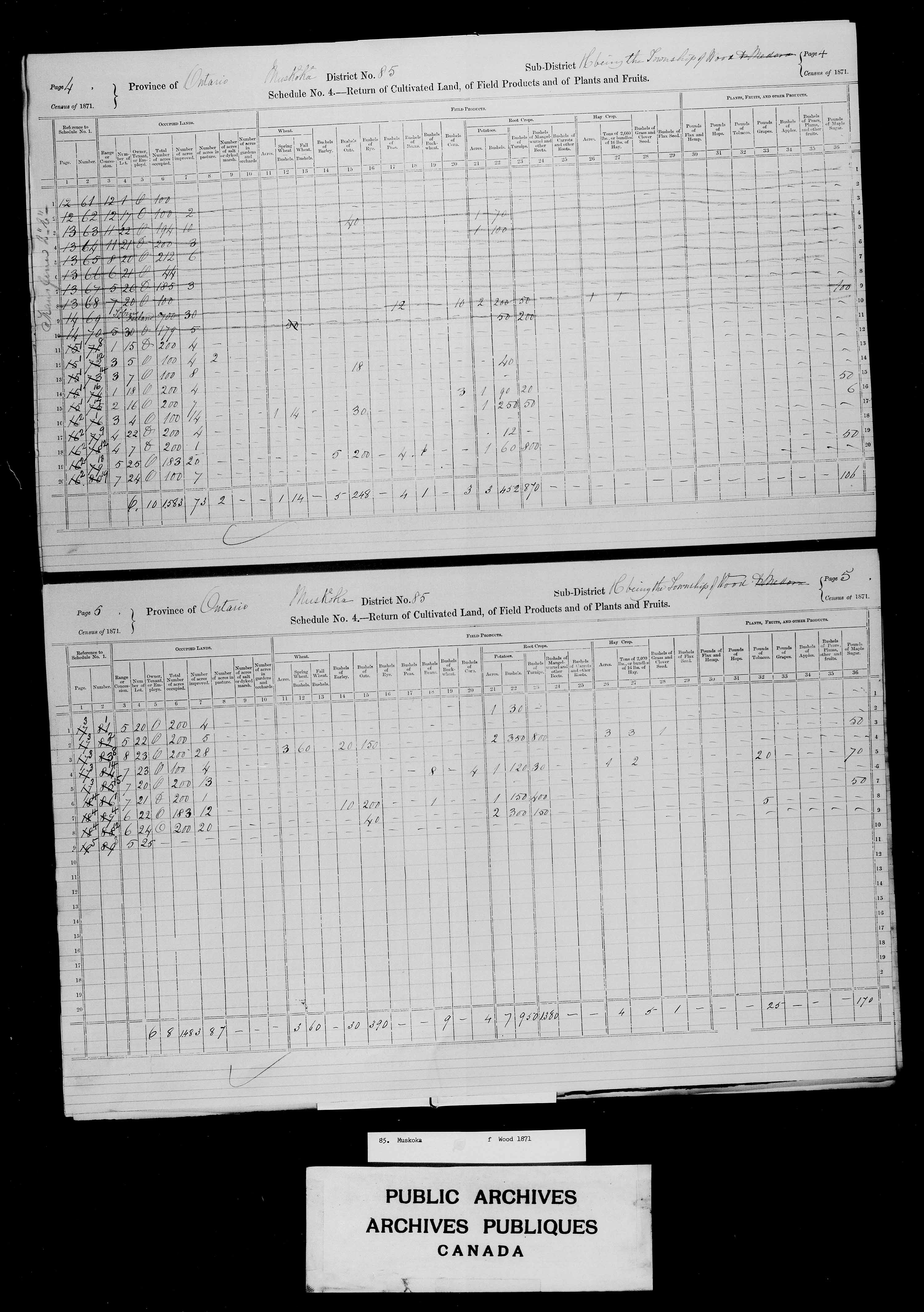 Title: Census of Canada, 1871 - Mikan Number: 142105 - Microform: c-10023