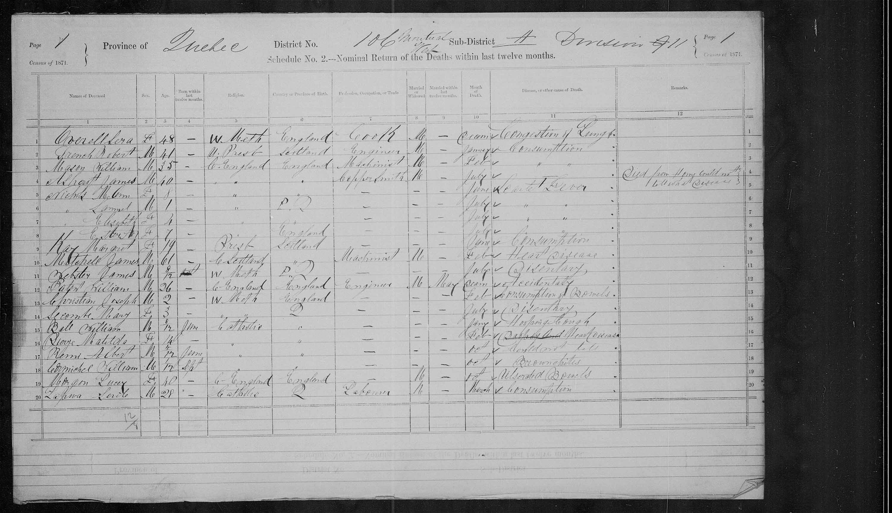 Title: Census of Canada, 1871 - Mikan Number: 142105 - Microform: c-10045