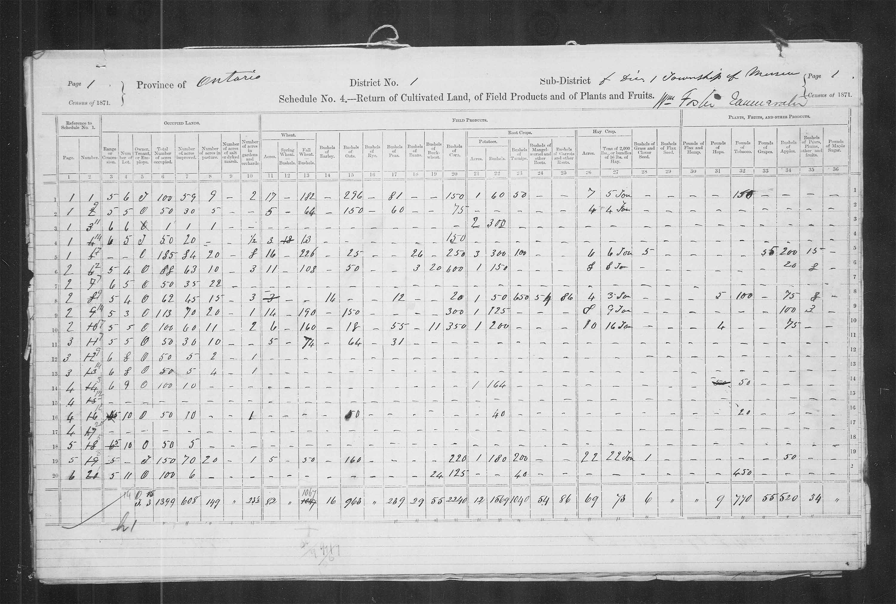 Title: Census of Canada, 1871 - Mikan Number: 142105 - Microform: c-9889