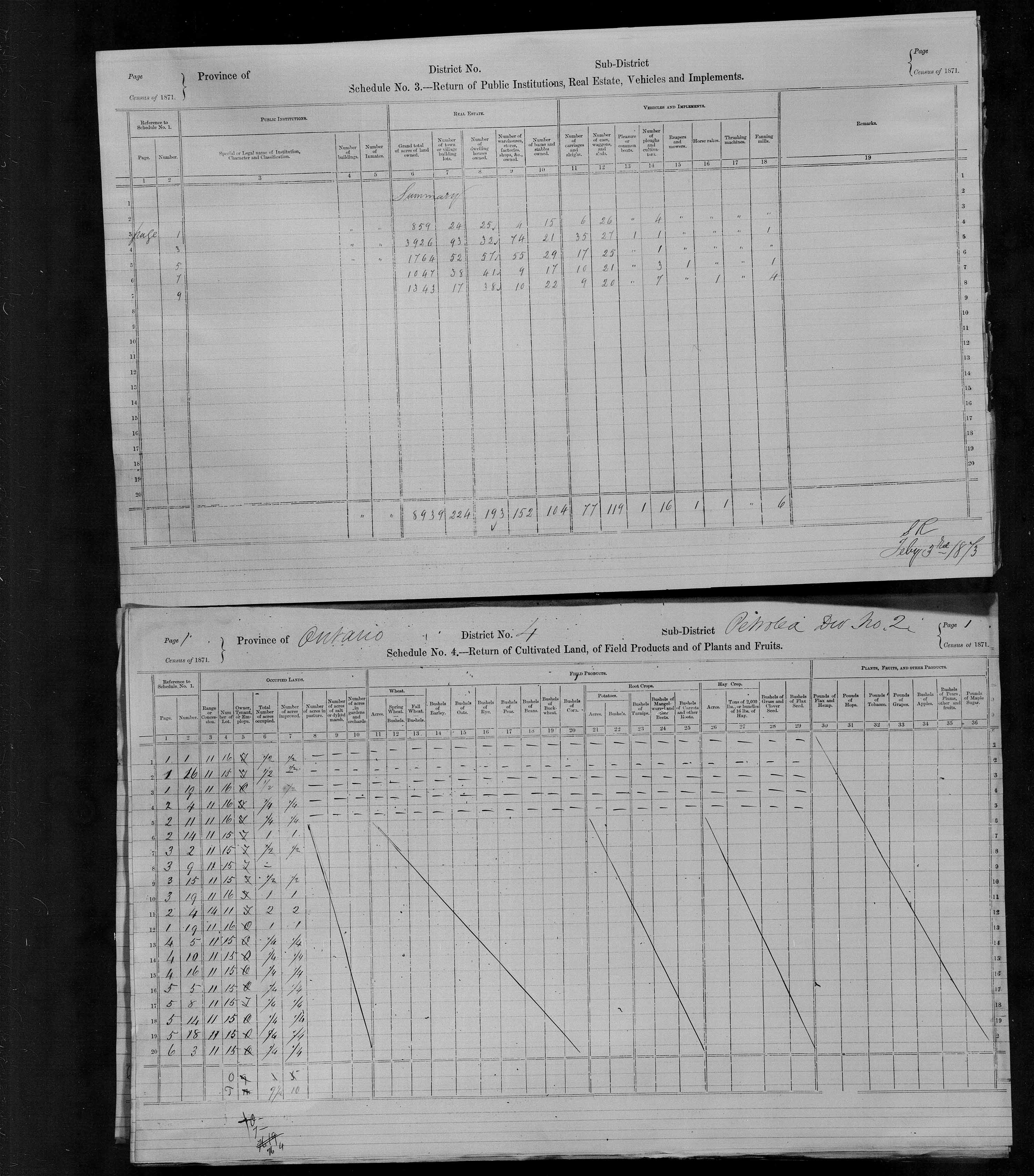 Title: Census of Canada, 1871 - Mikan Number: 142105 - Microform: c-9895