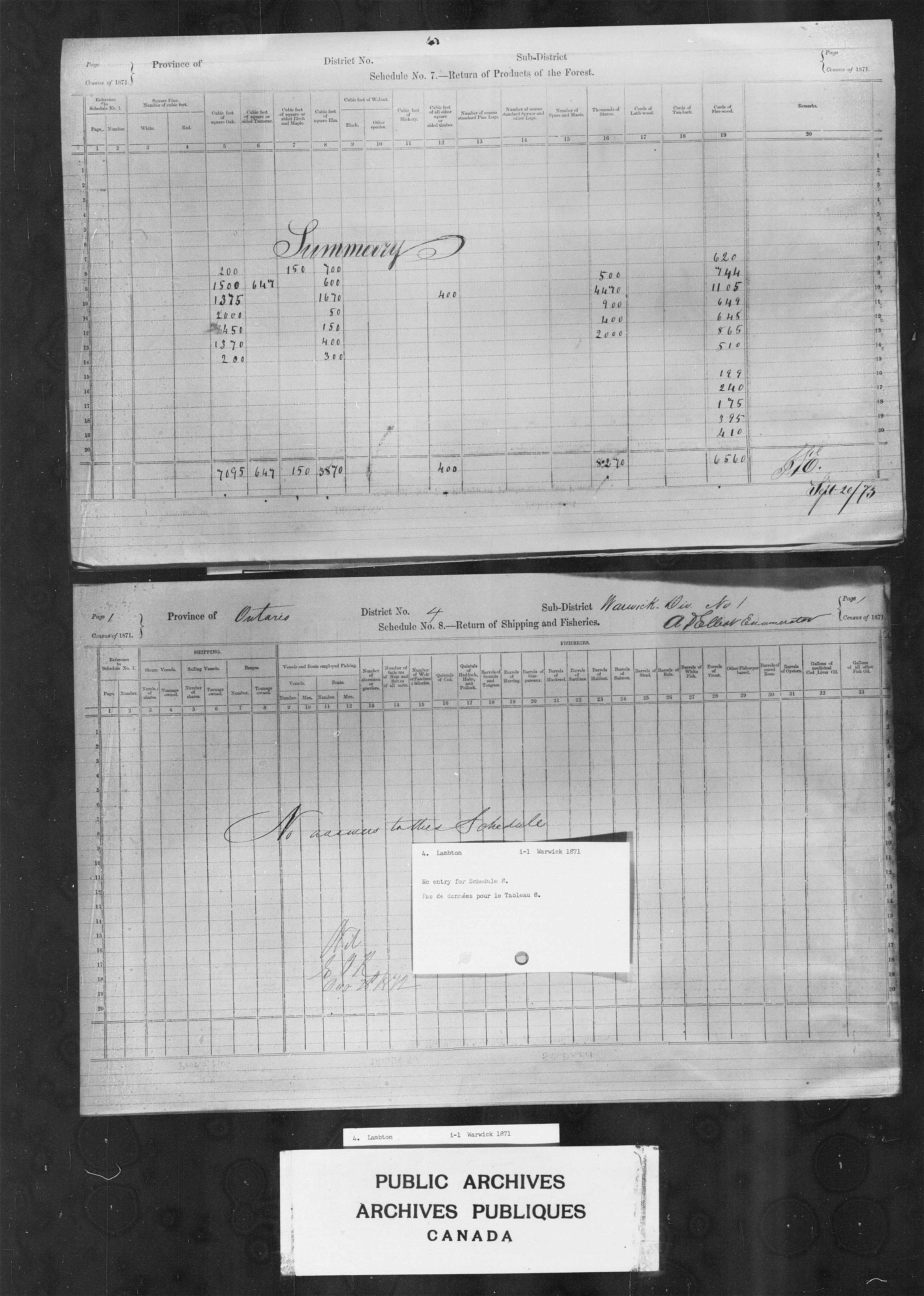 Title: Census of Canada, 1871 - Mikan Number: 142105 - Microform: c-9896