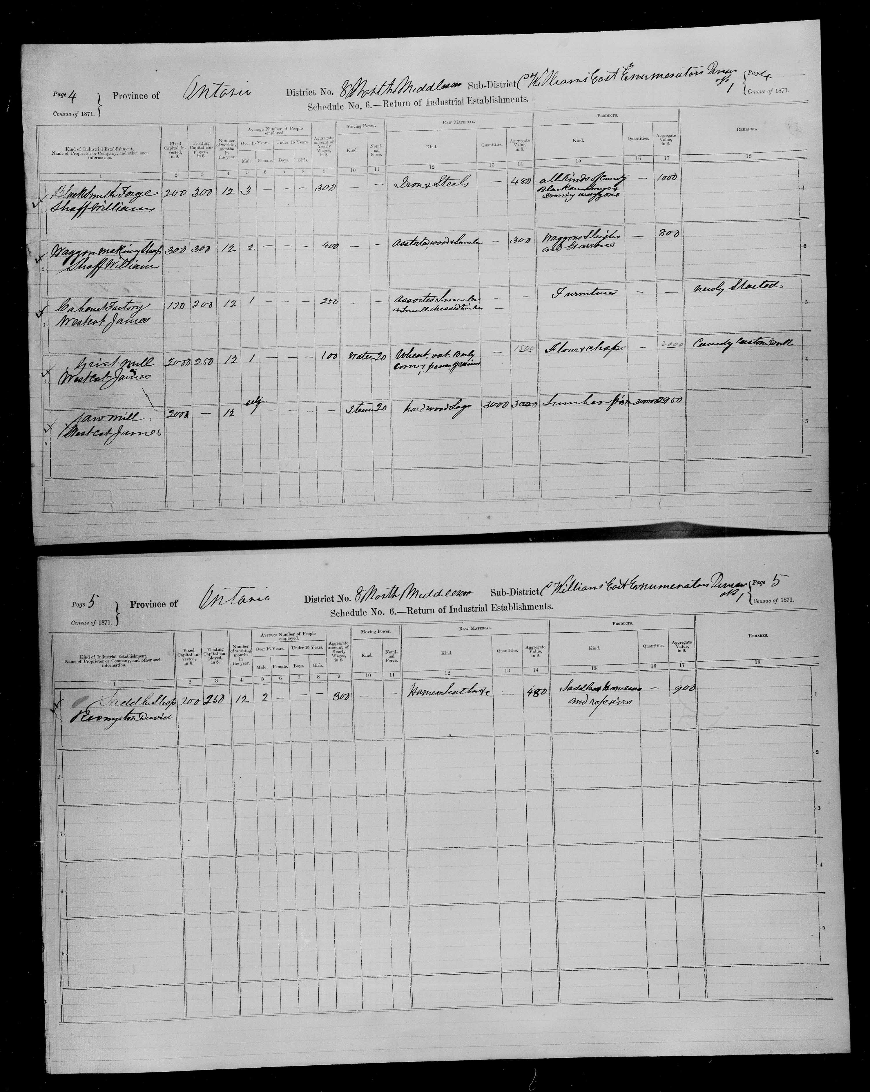Title: Census of Canada, 1871 - Mikan Number: 142105 - Microform: c-9902