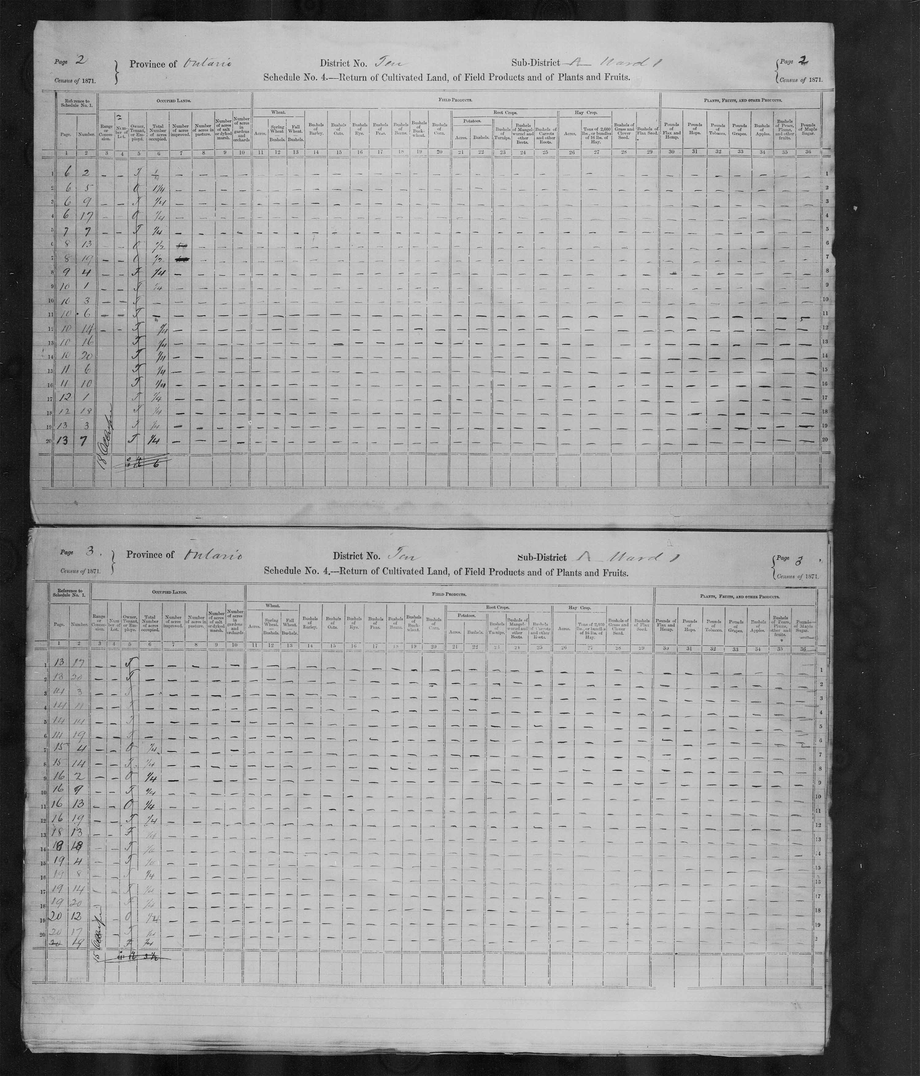 Title: Census of Canada, 1871 - Mikan Number: 142105 - Microform: c-9906