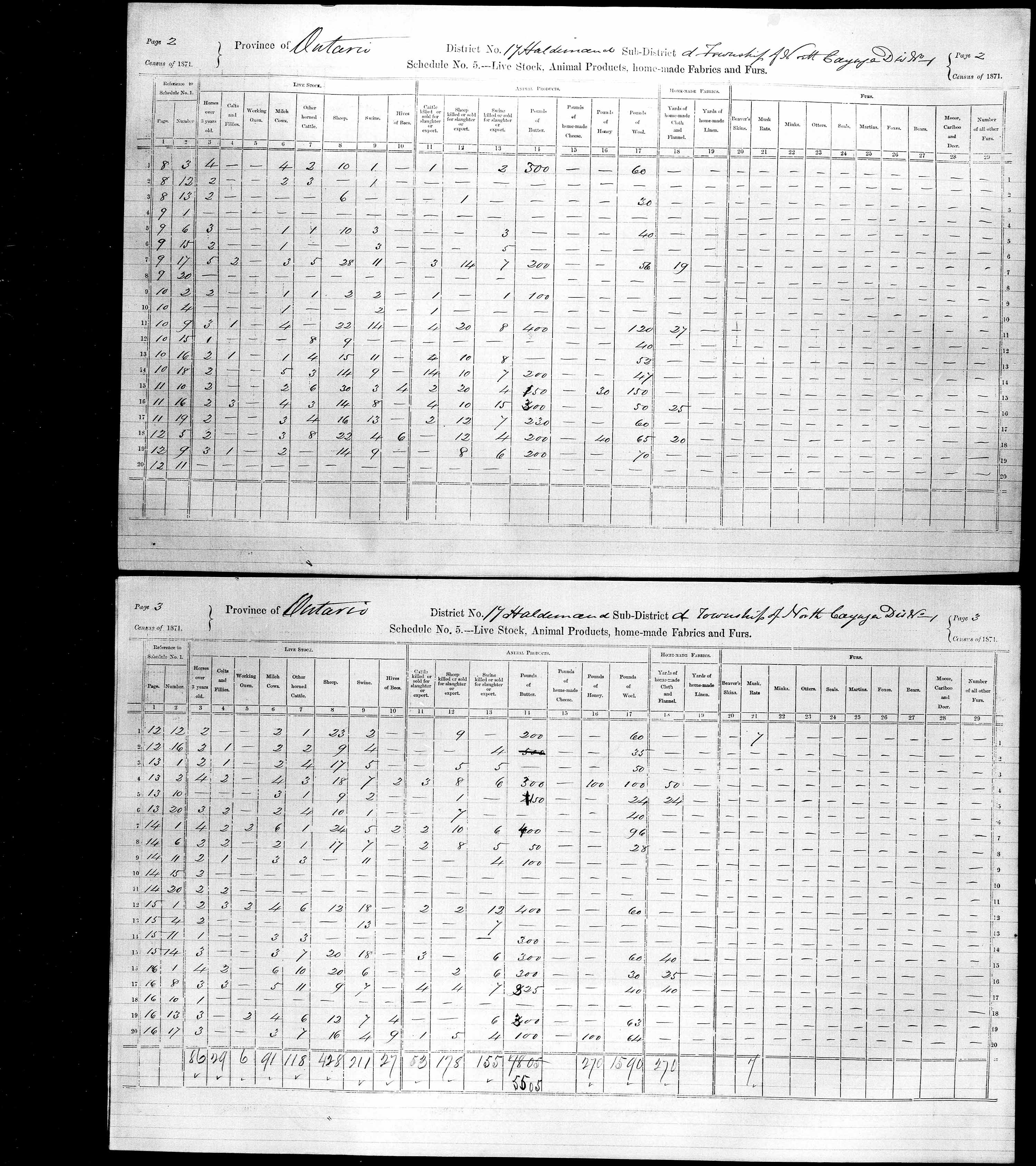 Title: Census of Canada, 1871 - Mikan Number: 142105 - Microform: c-9917