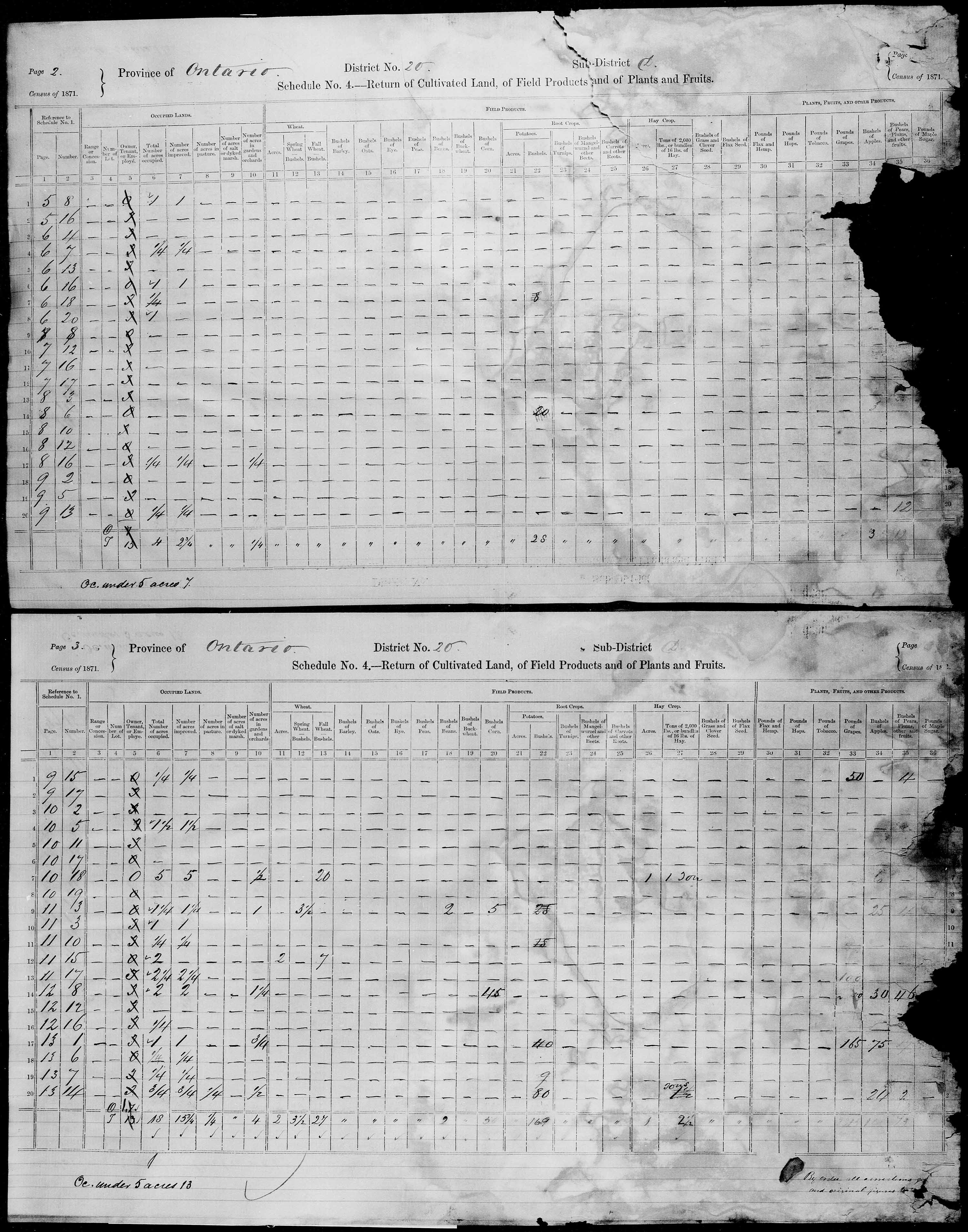 Title: Census of Canada, 1871 - Mikan Number: 142105 - Microform: c-9921