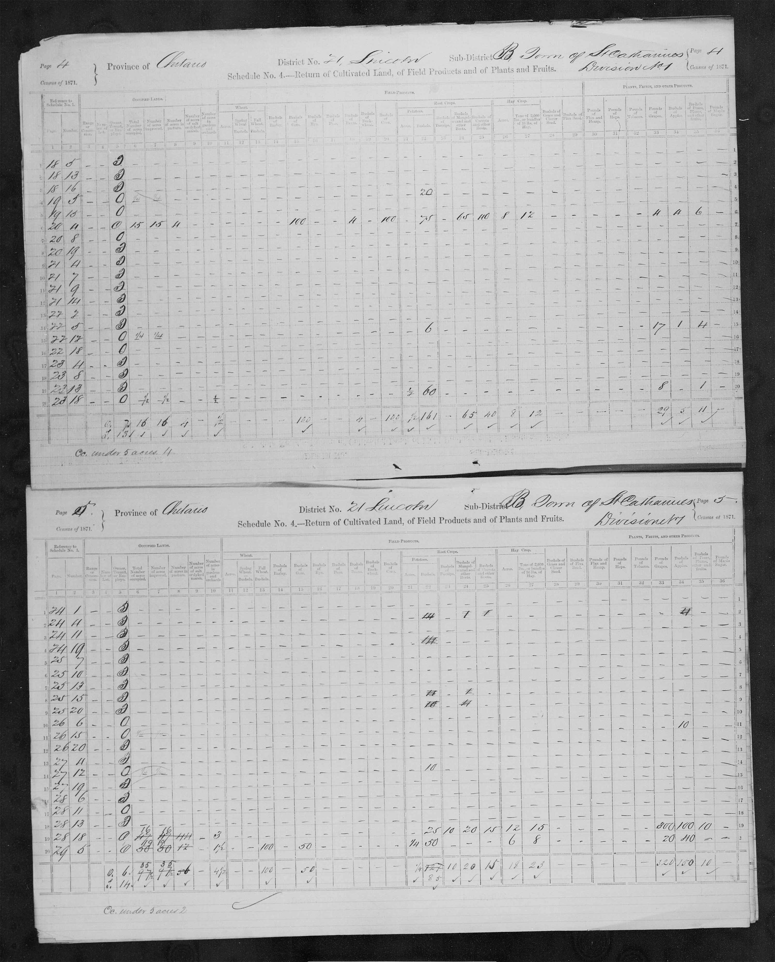 Title: Census of Canada, 1871 - Mikan Number: 142105 - Microform: c-9922