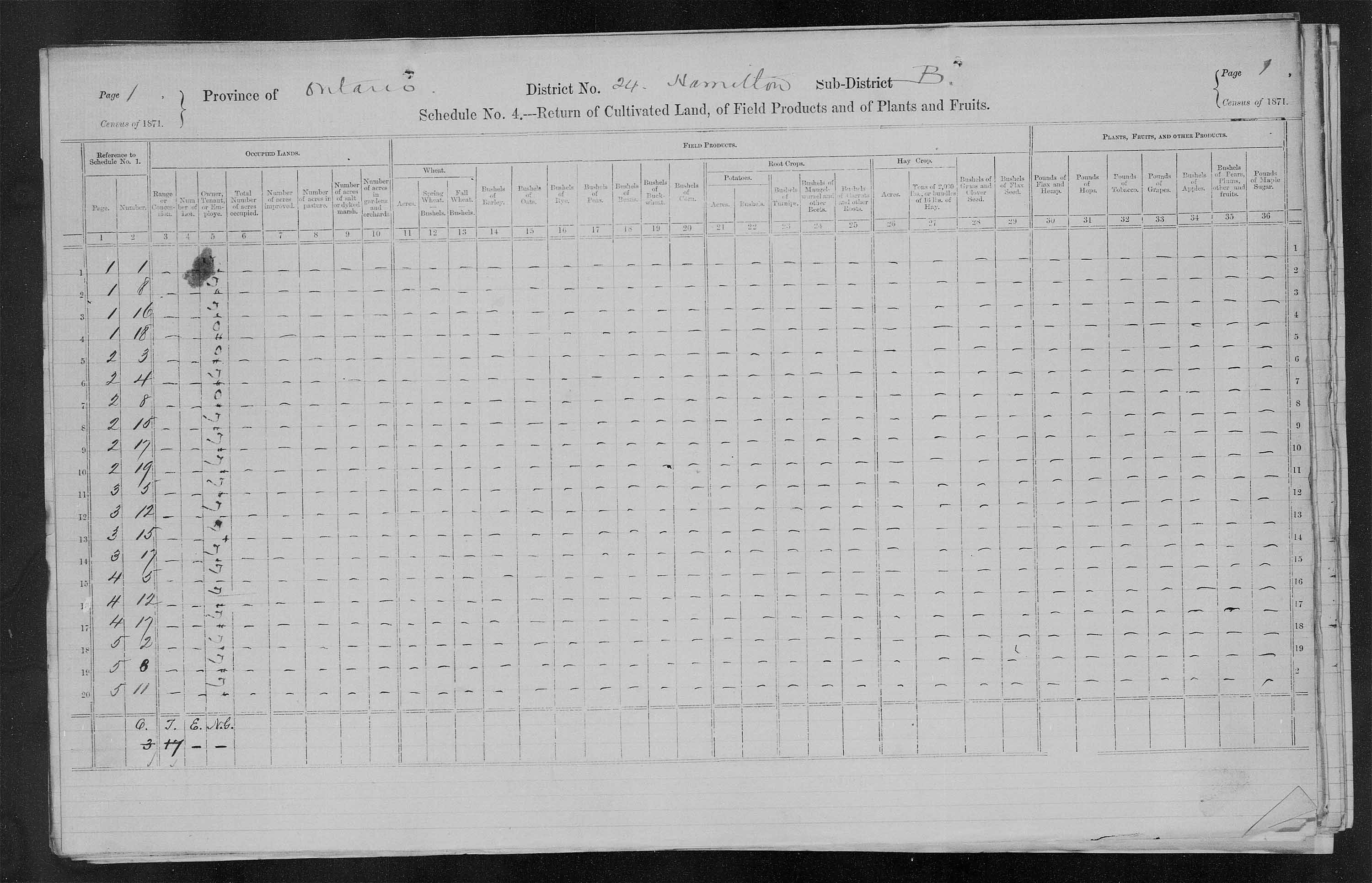 Title: Census of Canada, 1871 - Mikan Number: 142105 - Microform: c-9926