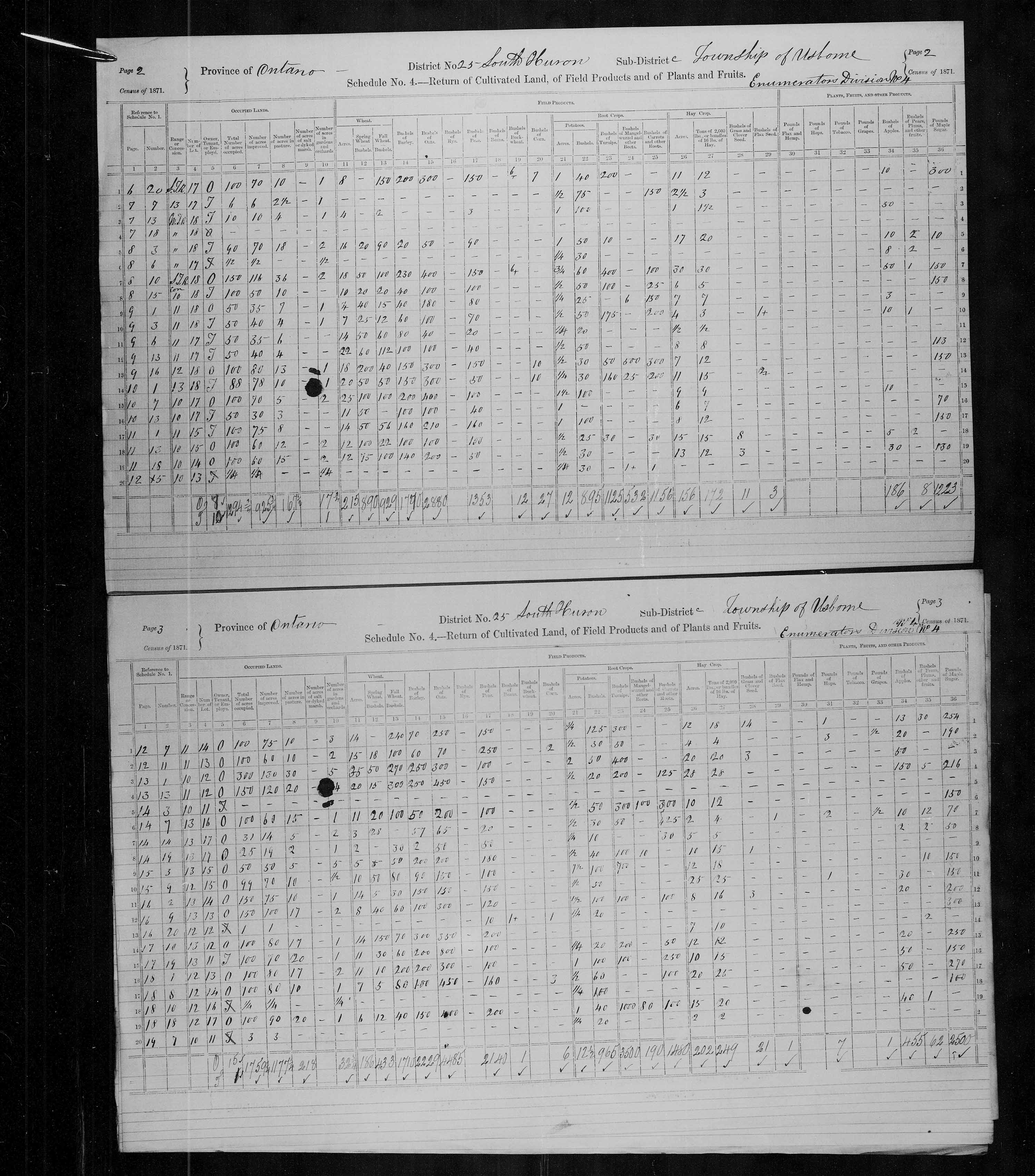 Title: Census of Canada, 1871 - Mikan Number: 142105 - Microform: c-9929