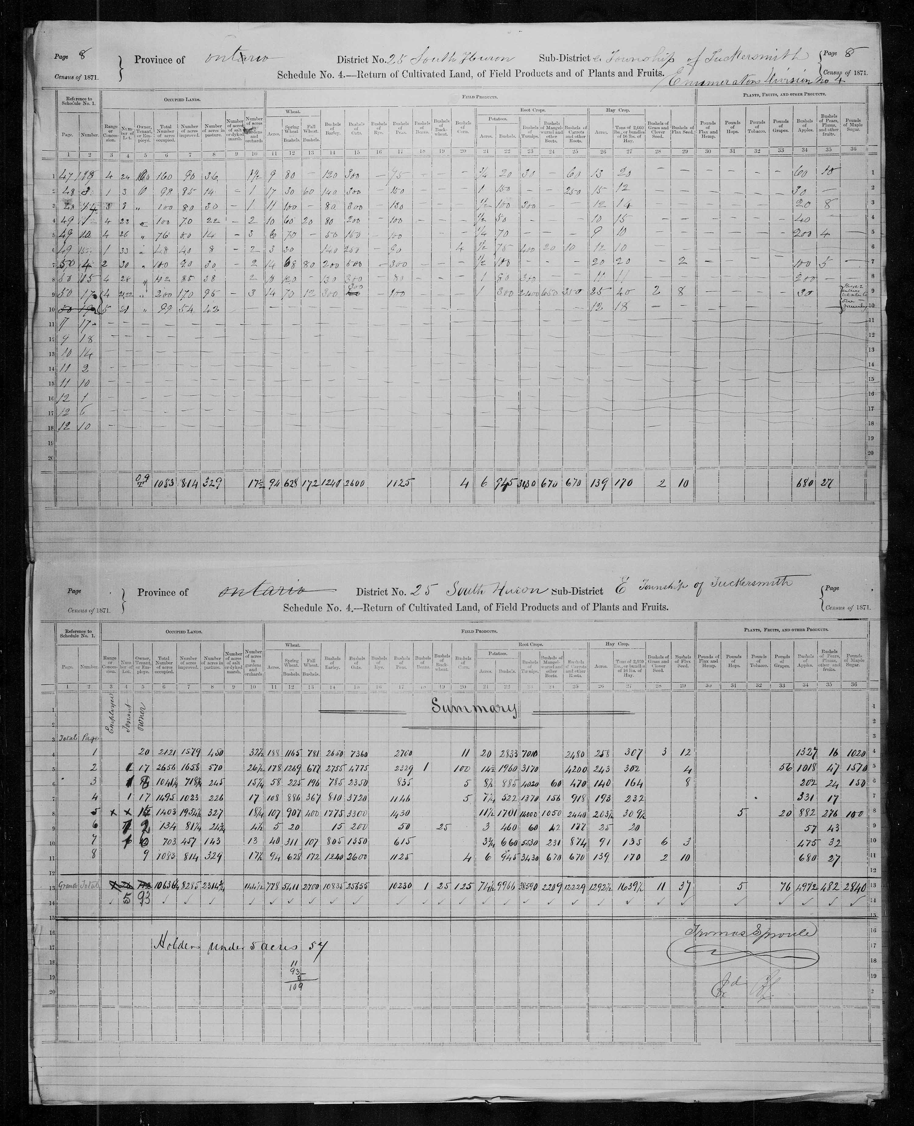 Title: Census of Canada, 1871 - Mikan Number: 142105 - Microform: c-9929