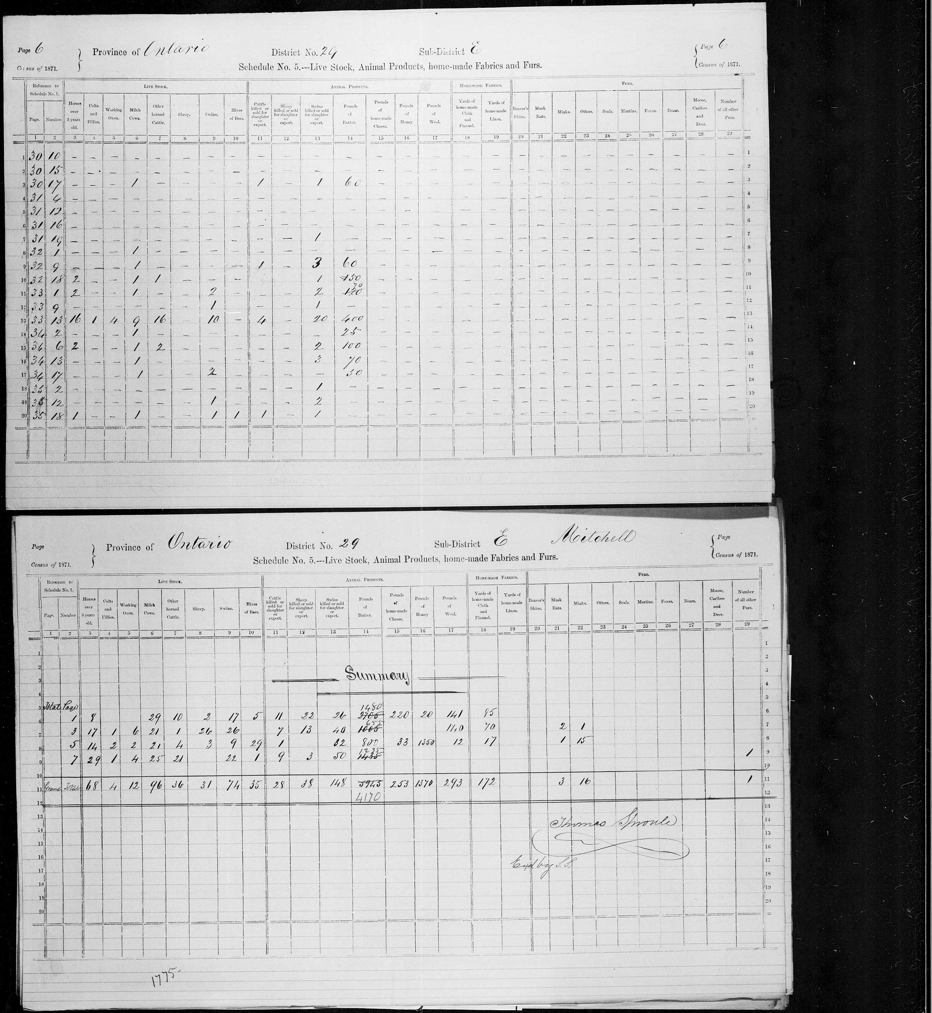 Title: Census of Canada, 1871 - Mikan Number: 142105 - Microform: c-9939