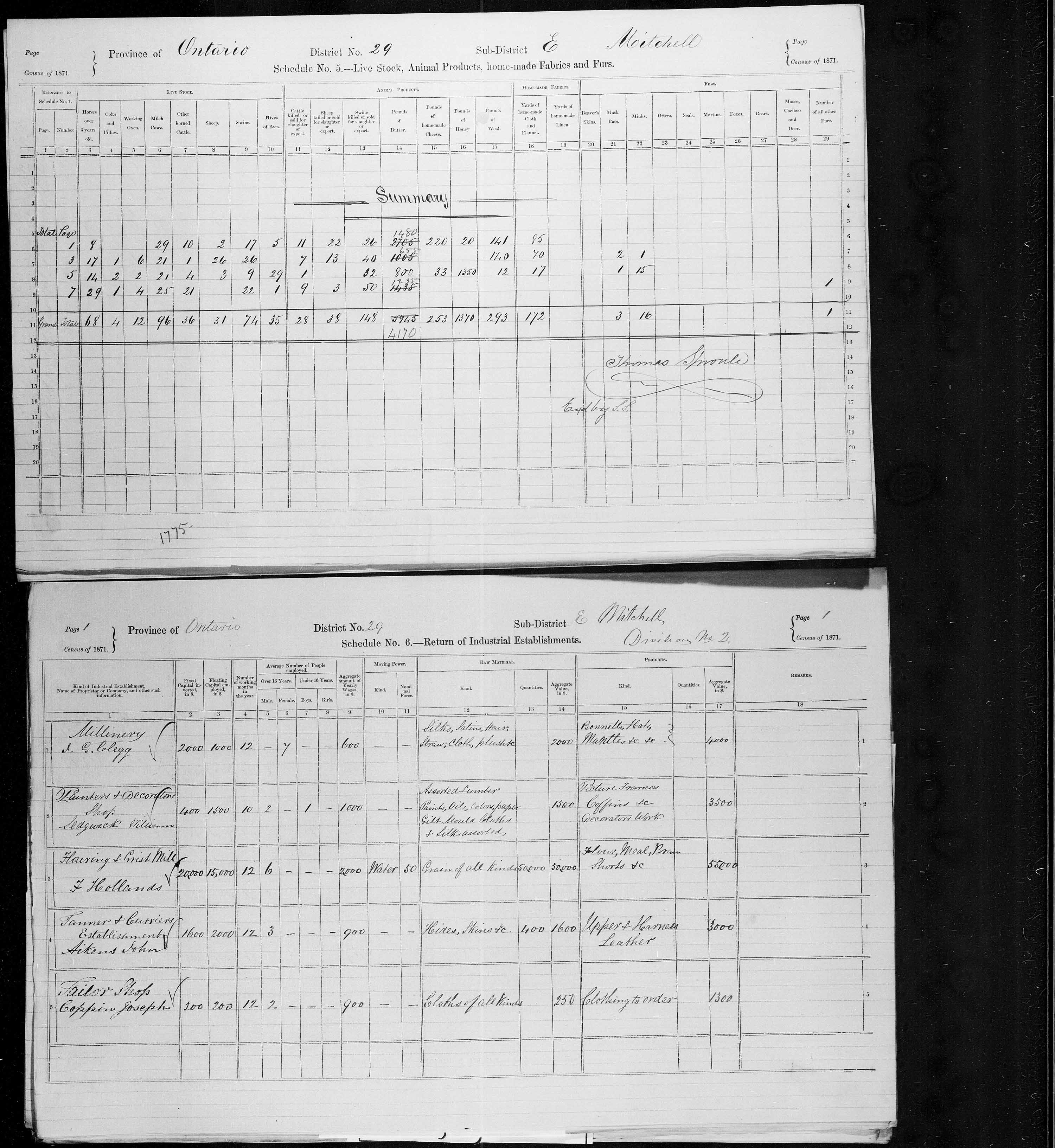 Title: Census of Canada, 1871 - Mikan Number: 142105 - Microform: c-9939