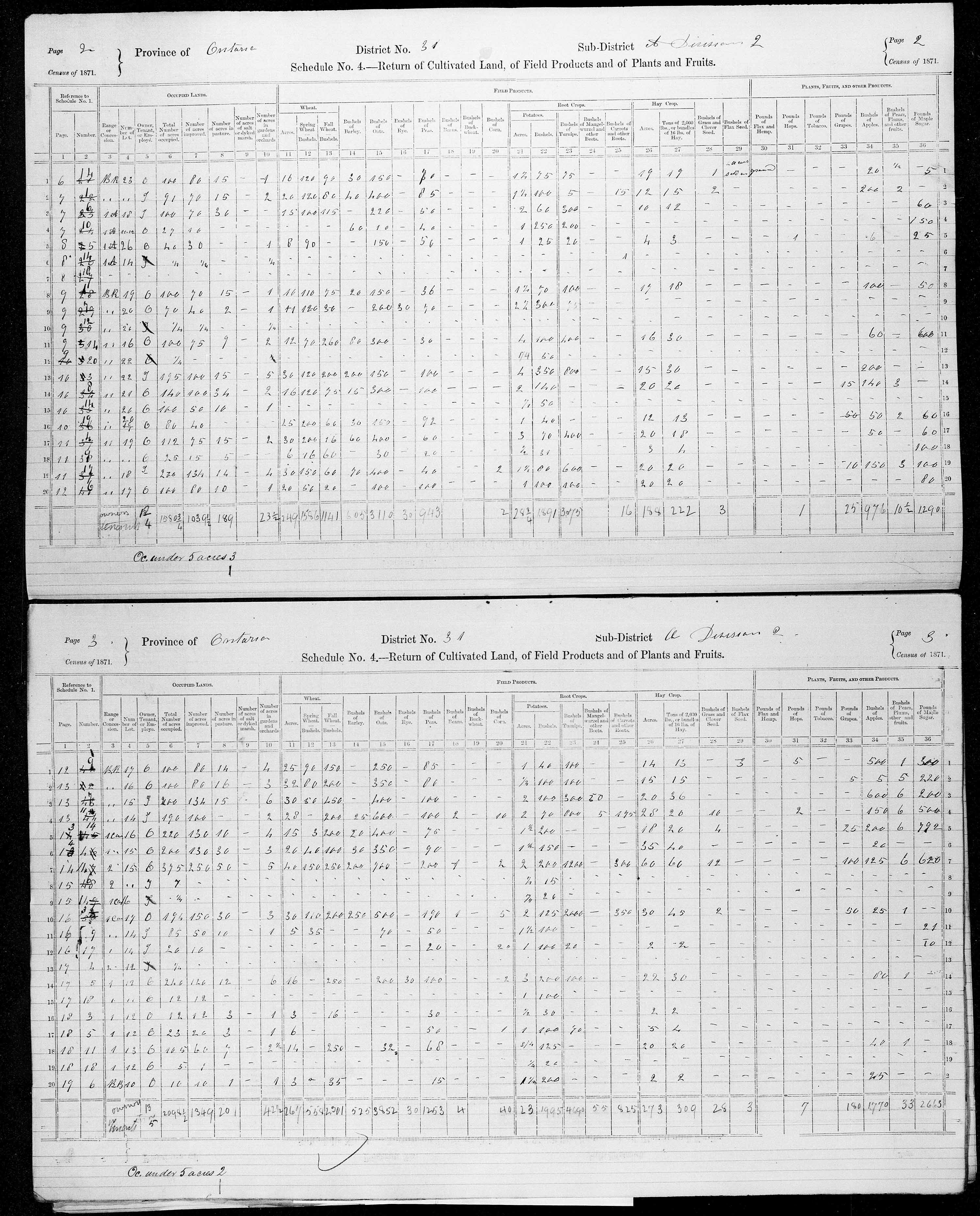 Title: Census of Canada, 1871 - Mikan Number: 142105 - Microform: c-9942