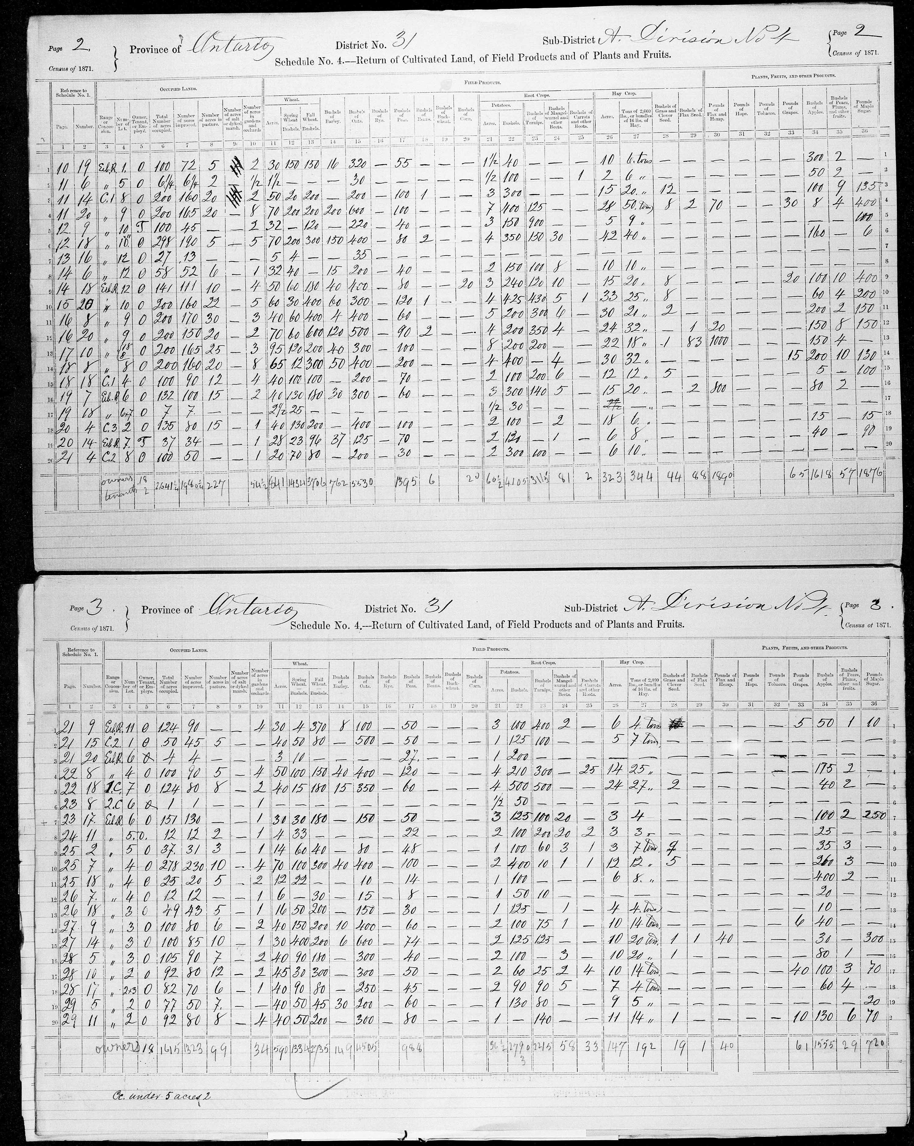 Title: Census of Canada, 1871 - Mikan Number: 142105 - Microform: c-9942