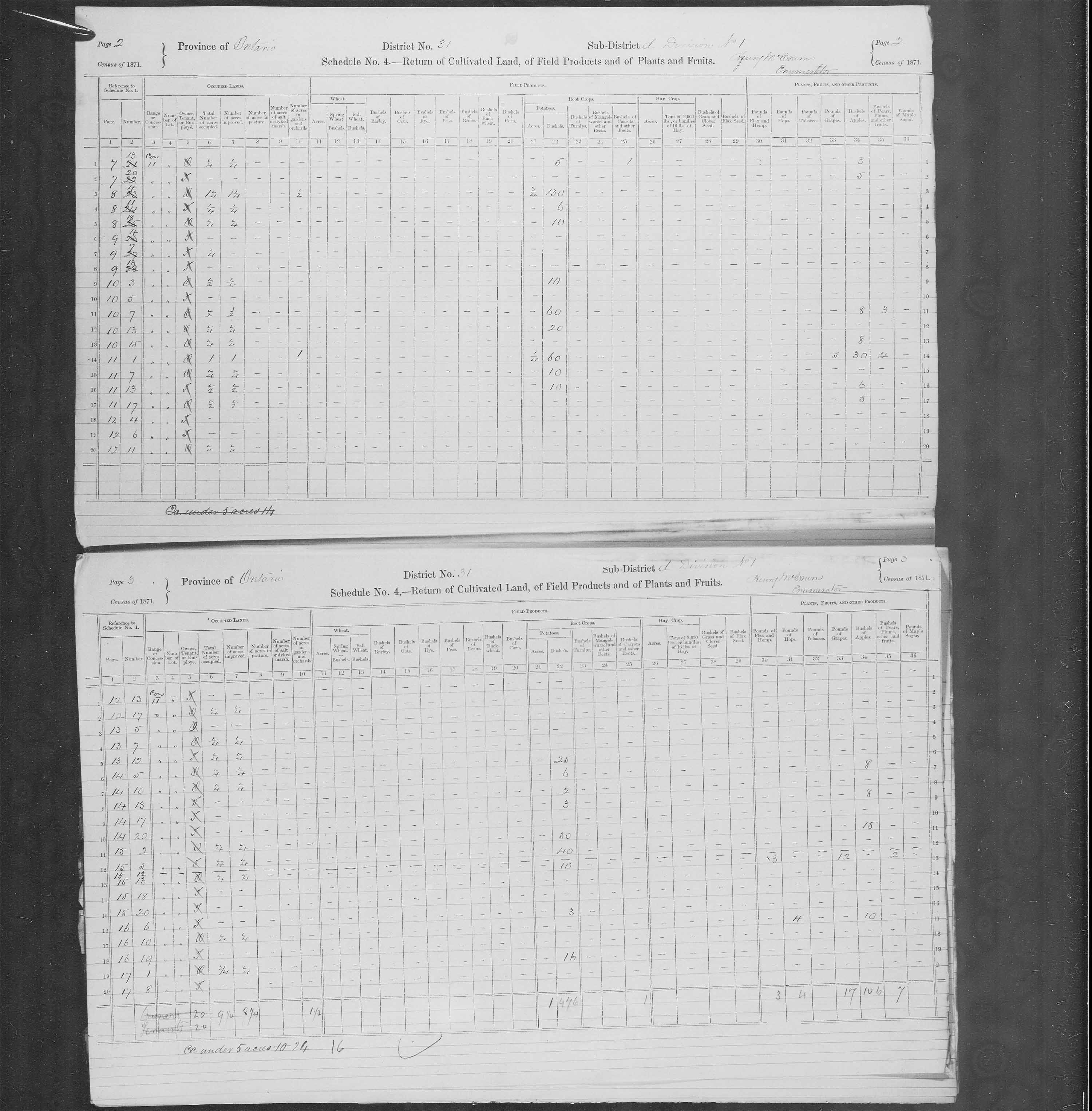 Title: Census of Canada, 1871 - Mikan Number: 142105 - Microform: c-9943