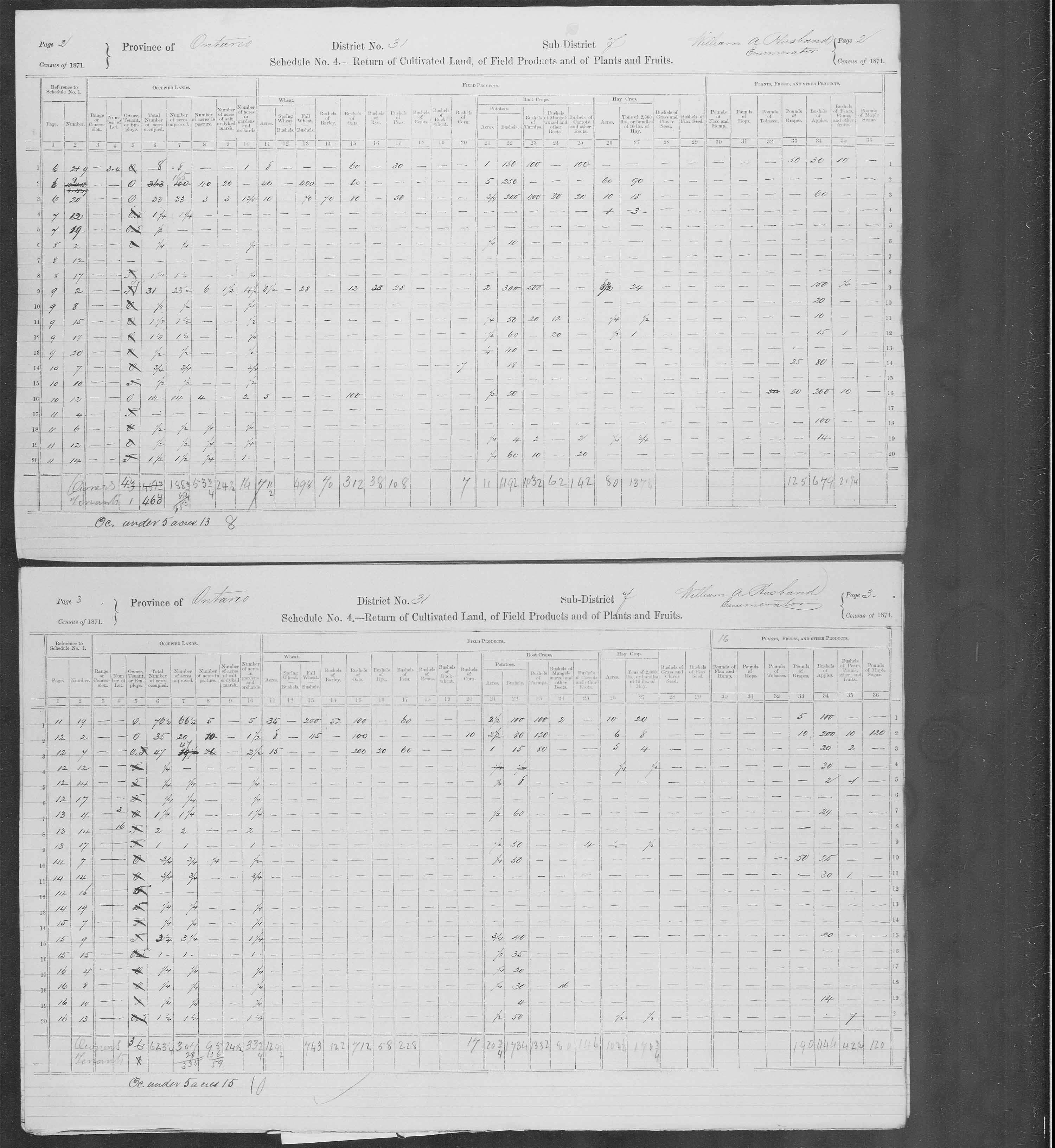 Title: Census of Canada, 1871 - Mikan Number: 142105 - Microform: c-9943