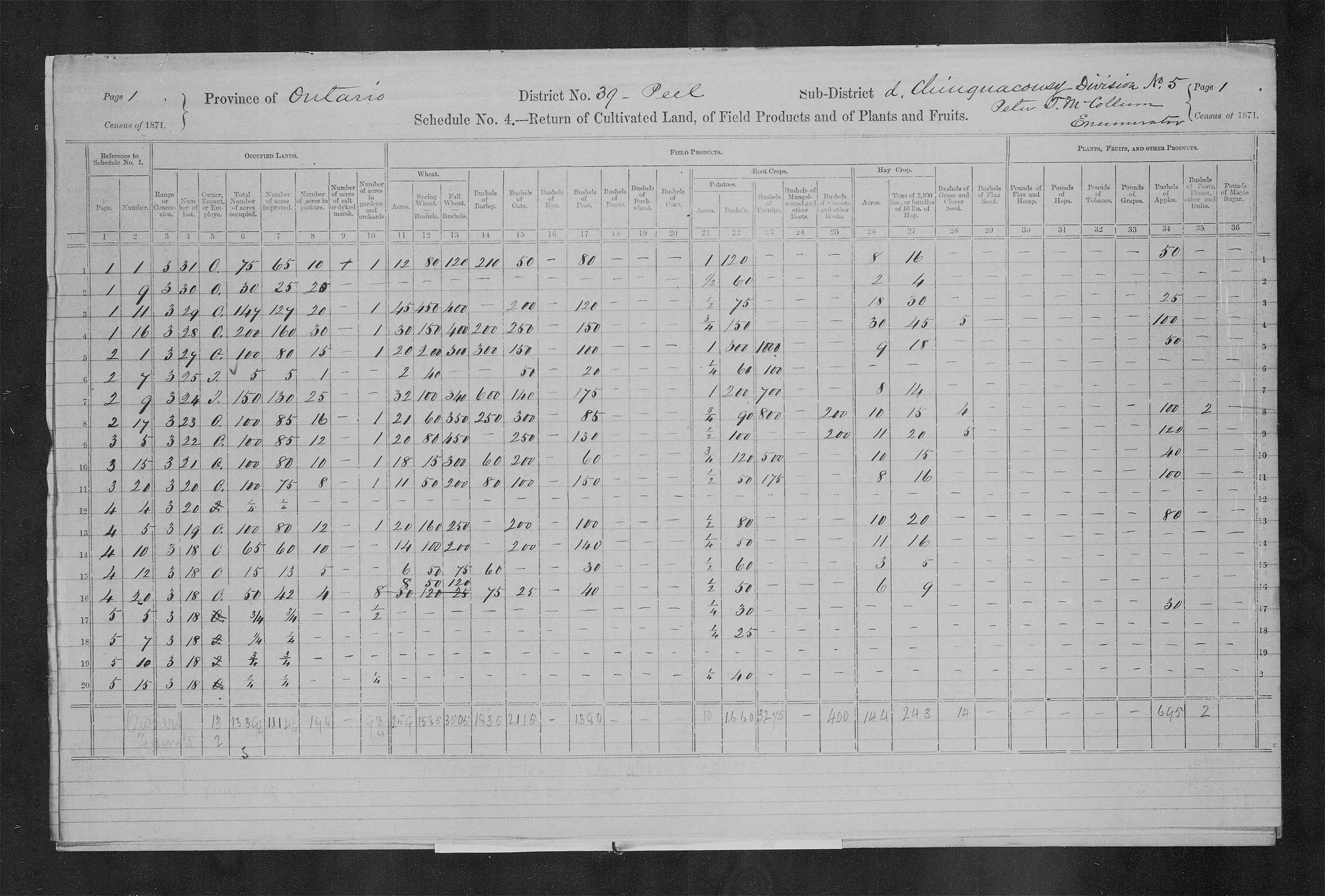 Title: Census of Canada, 1871 - Mikan Number: 142105 - Microform: c-9958