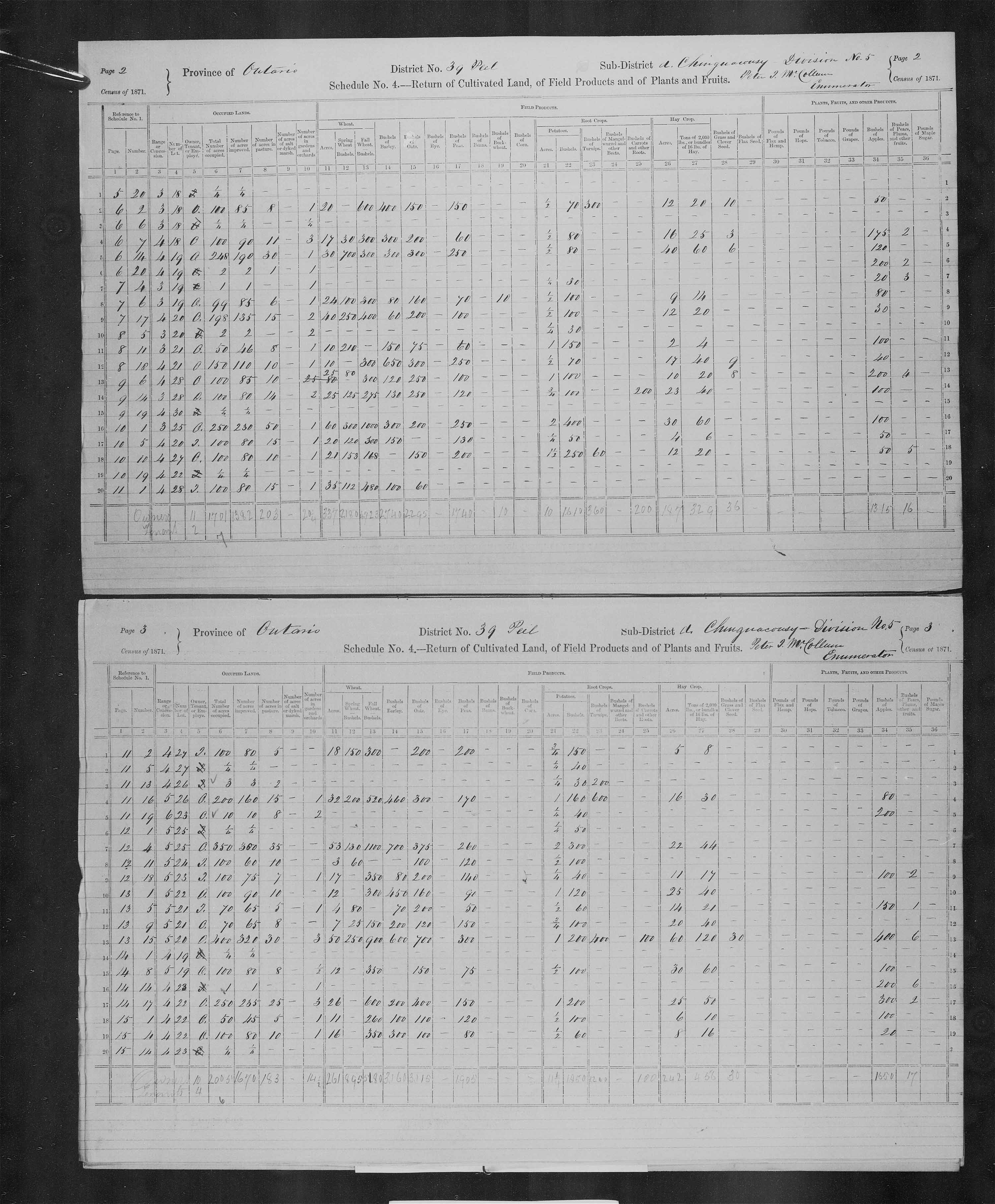 Title: Census of Canada, 1871 - Mikan Number: 142105 - Microform: c-9958