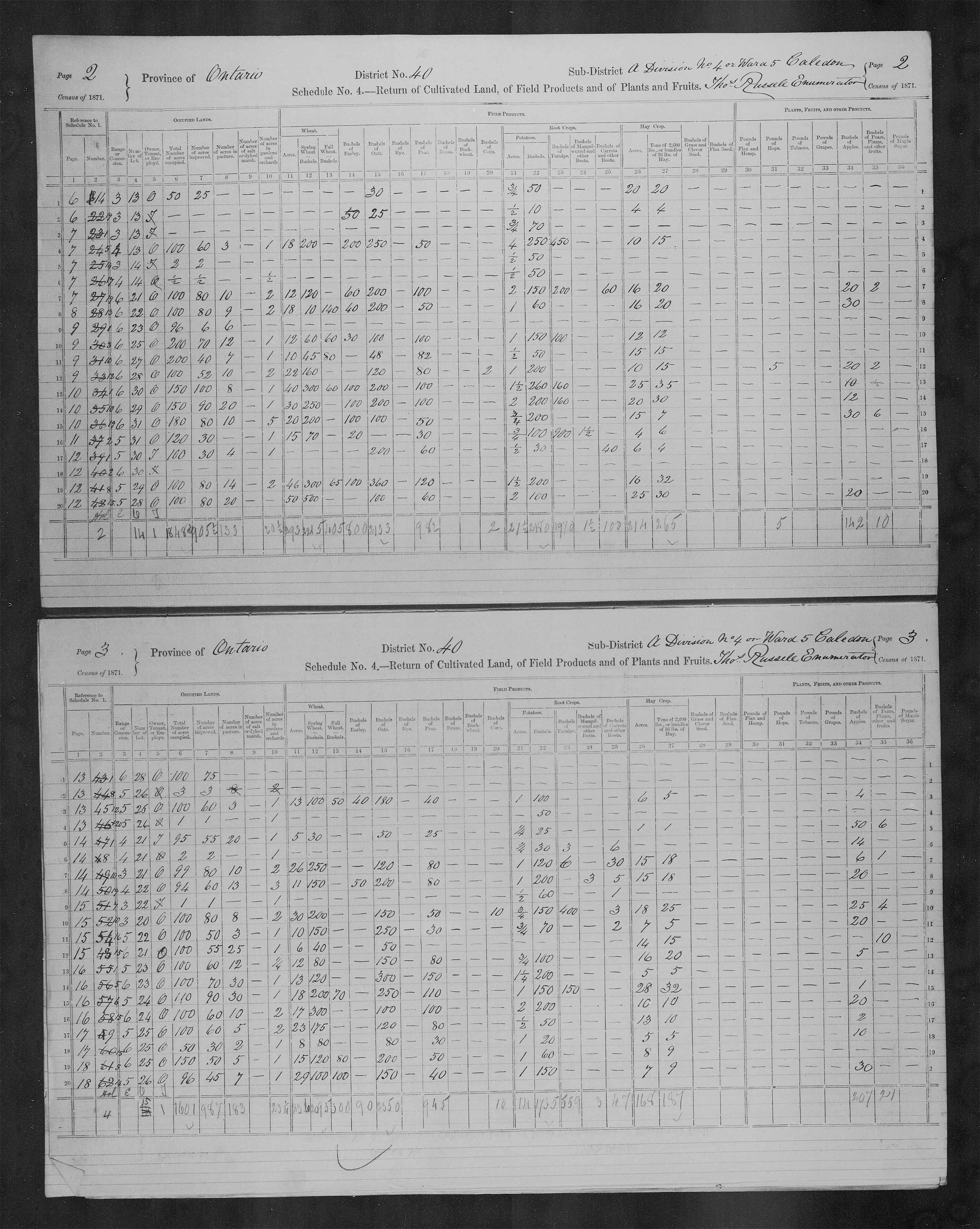 Title: Census of Canada, 1871 - Mikan Number: 142105 - Microform: c-9958