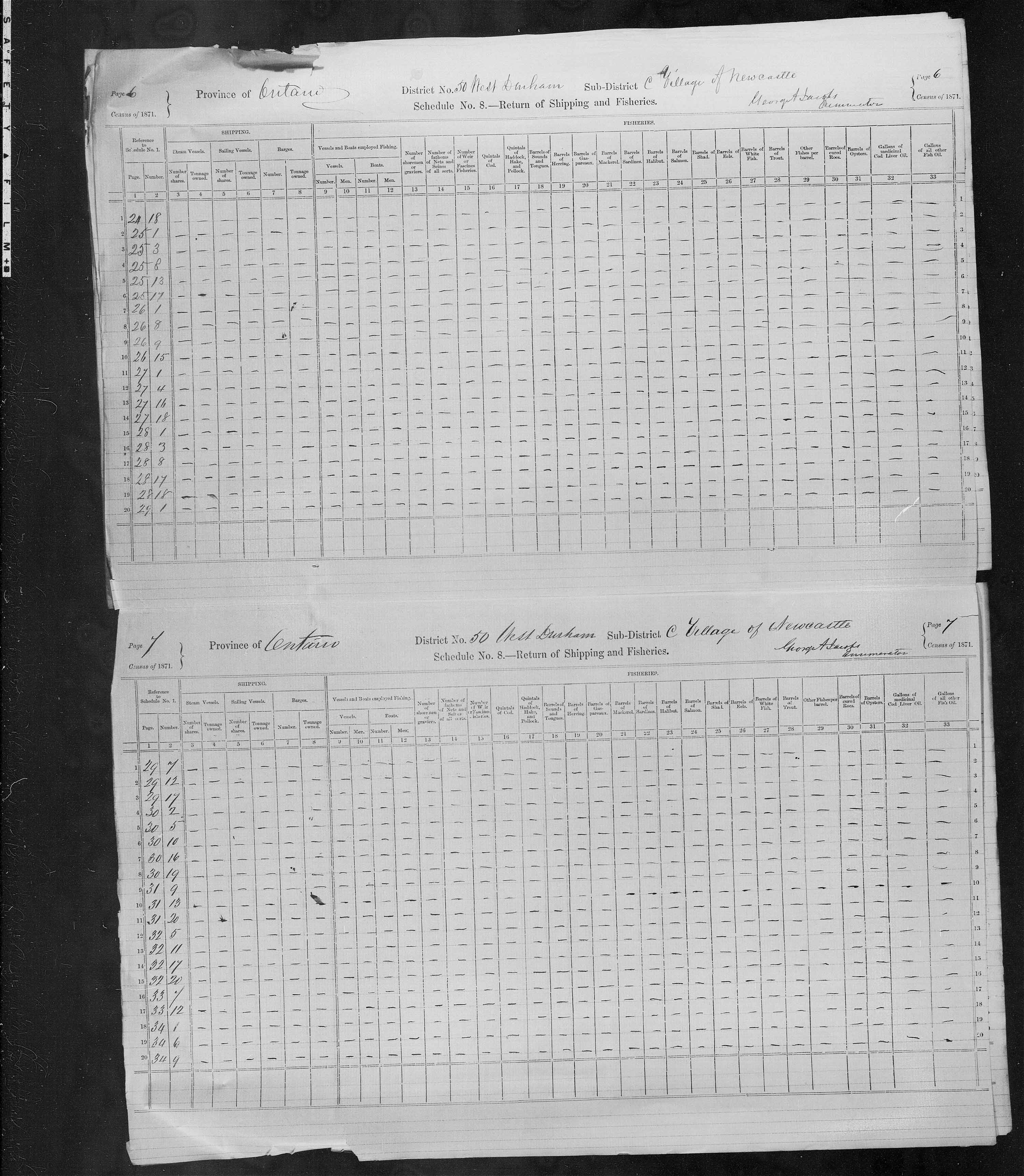 Title: Census of Canada, 1871 - Mikan Number: 142105 - Microform: c-9978