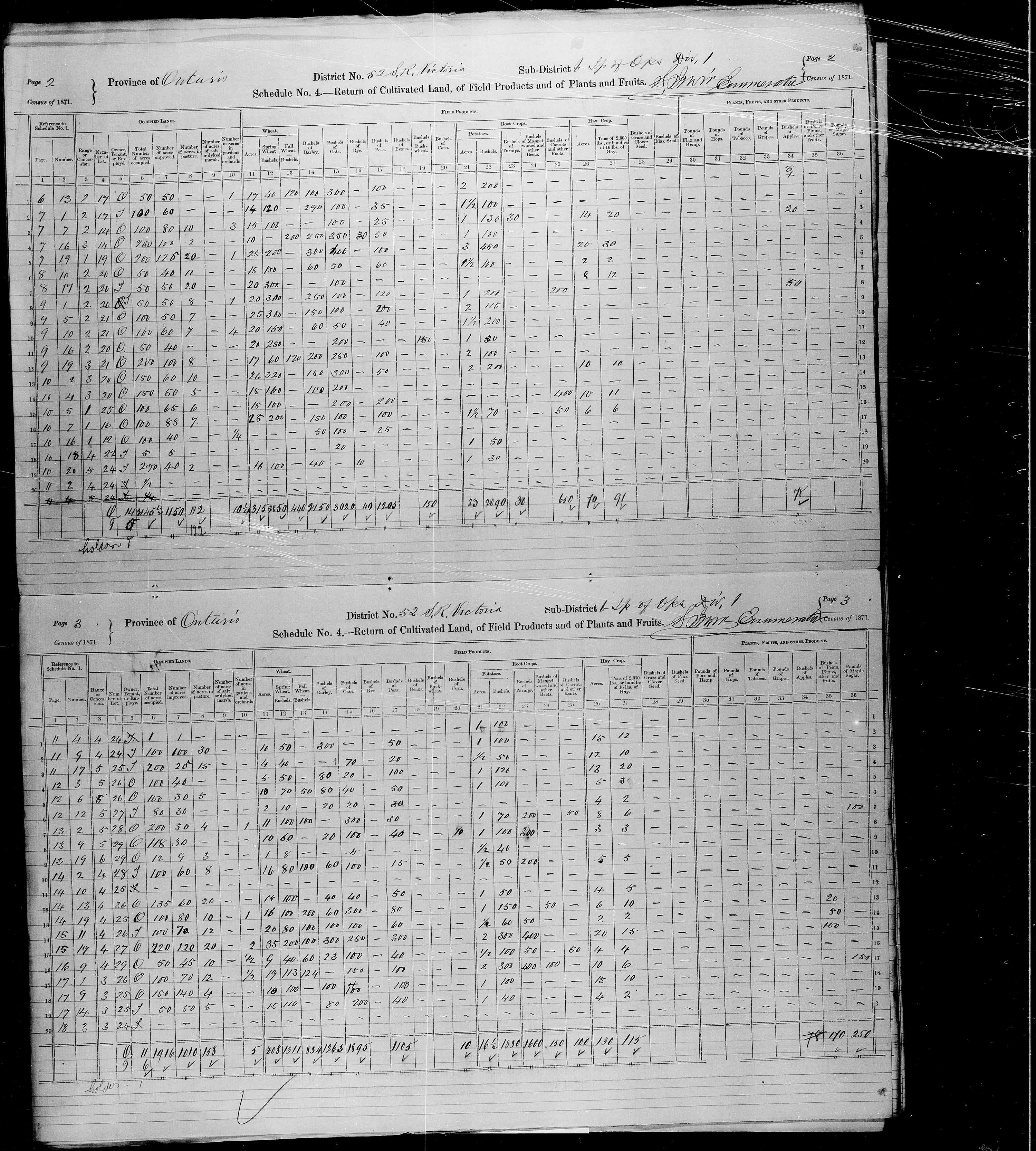 Title: Census of Canada, 1871 - Mikan Number: 142105 - Microform: c-9981