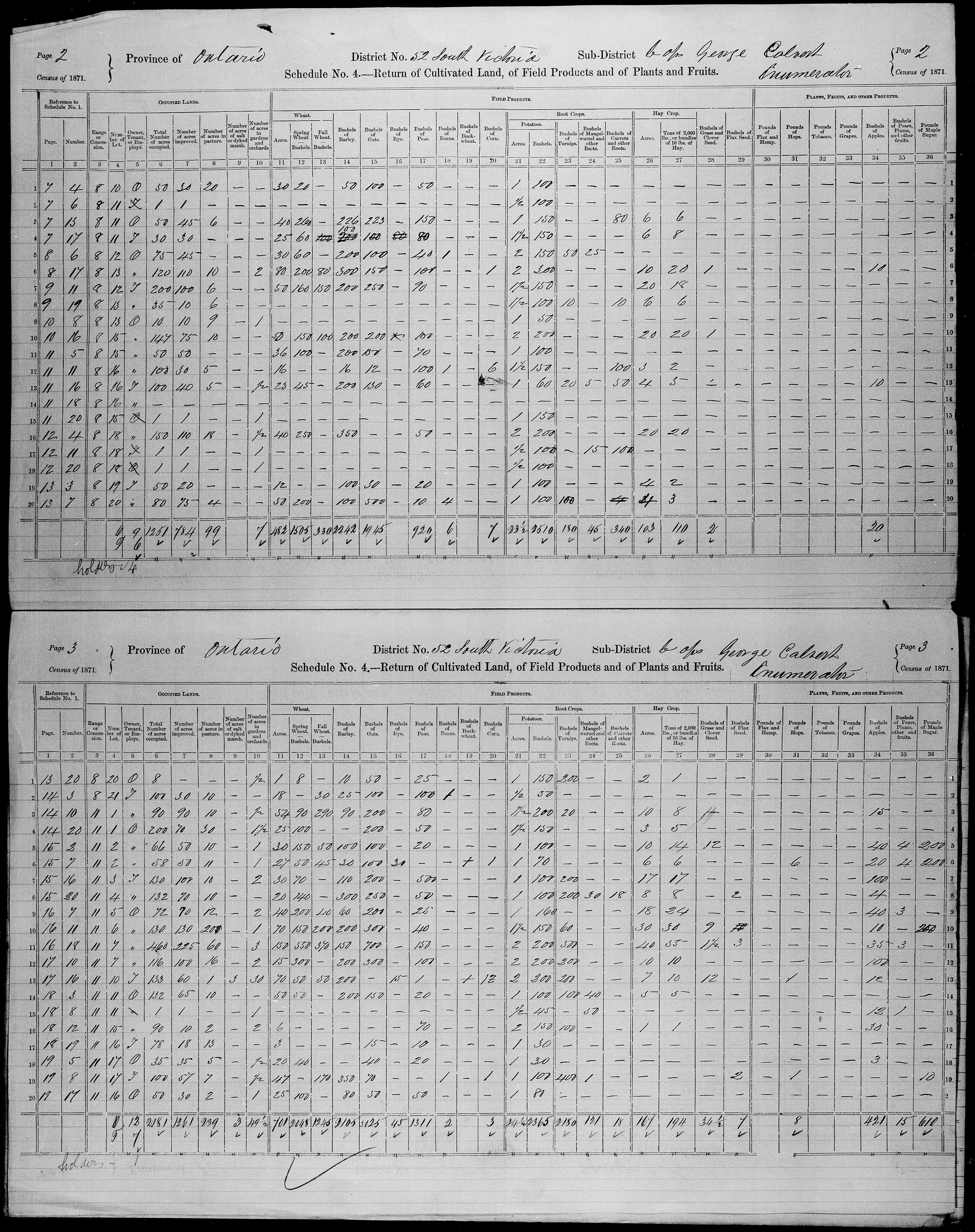 Title: Census of Canada, 1871 - Mikan Number: 142105 - Microform: c-9981