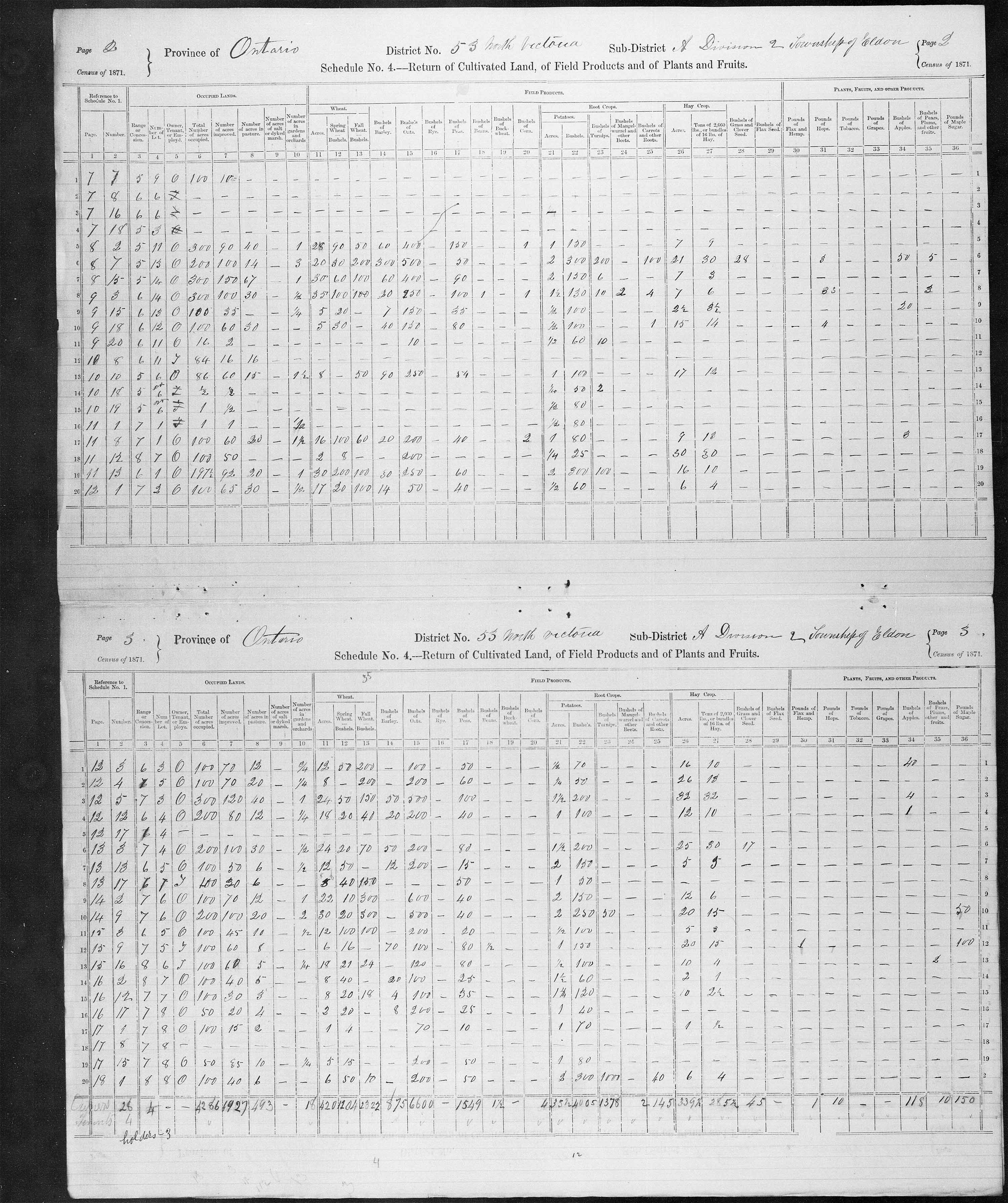 Title: Census of Canada, 1871 - Mikan Number: 142105 - Microform: c-9982