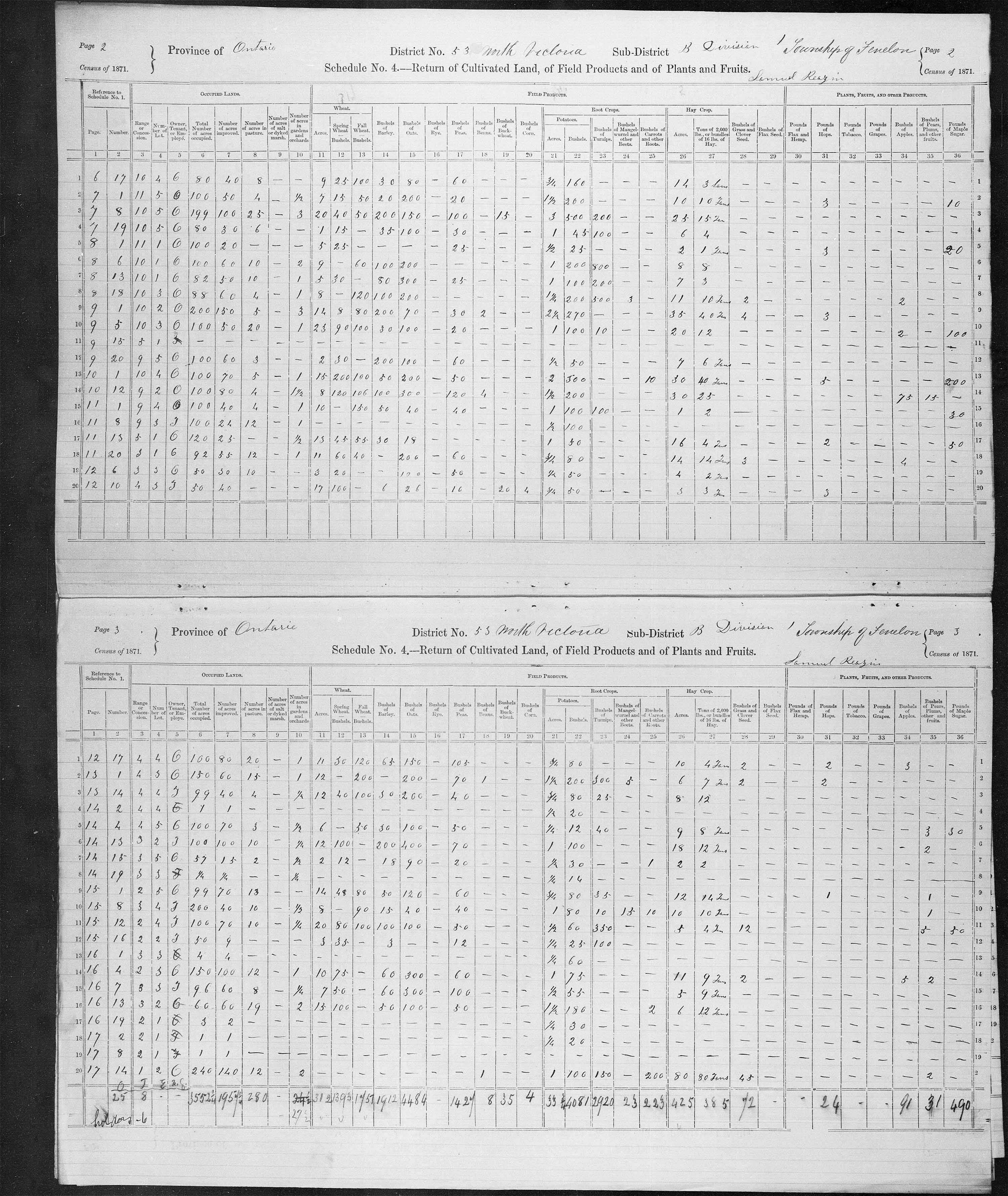 Title: Census of Canada, 1871 - Mikan Number: 142105 - Microform: c-9982