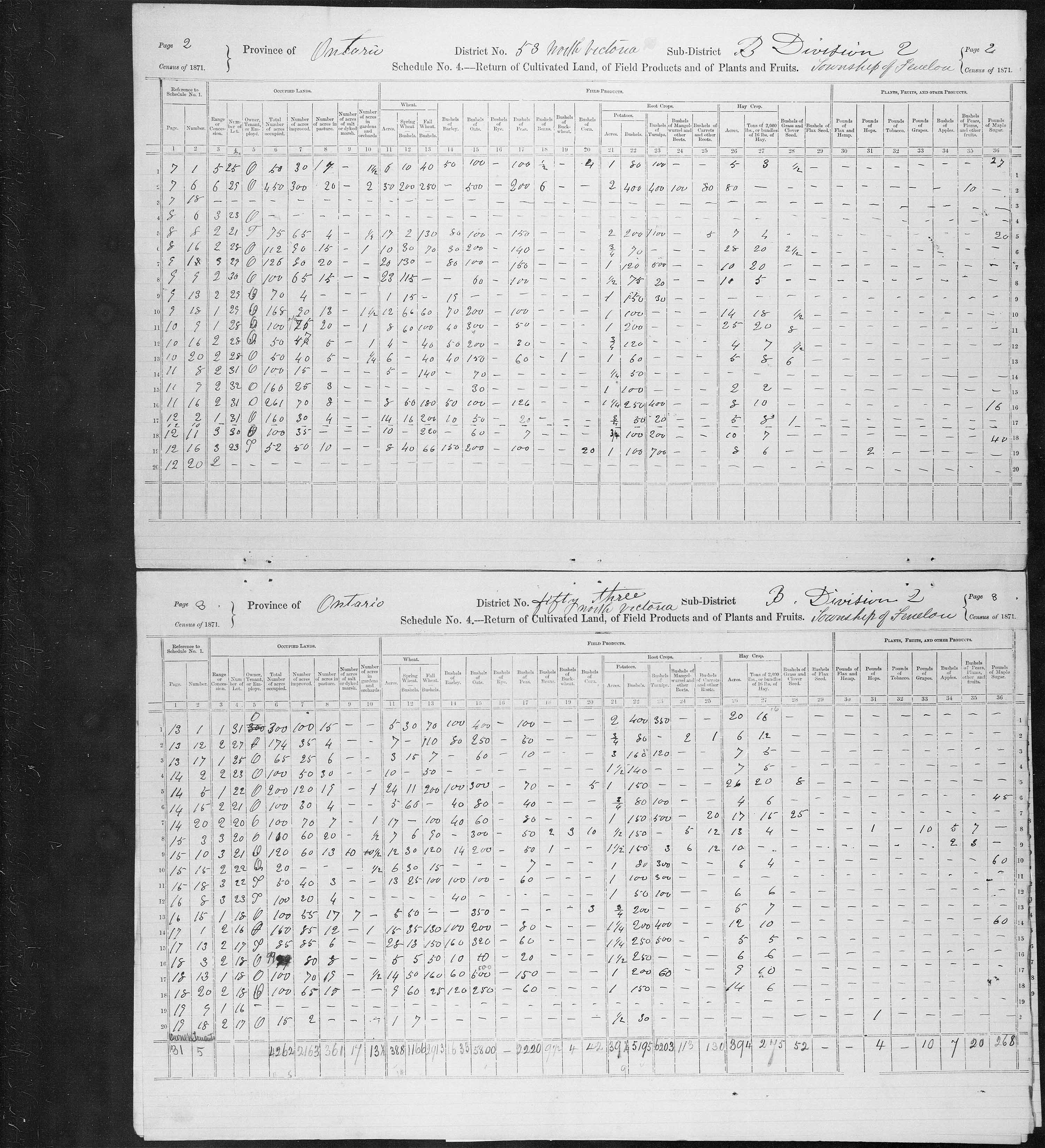 Title: Census of Canada, 1871 - Mikan Number: 142105 - Microform: c-9982