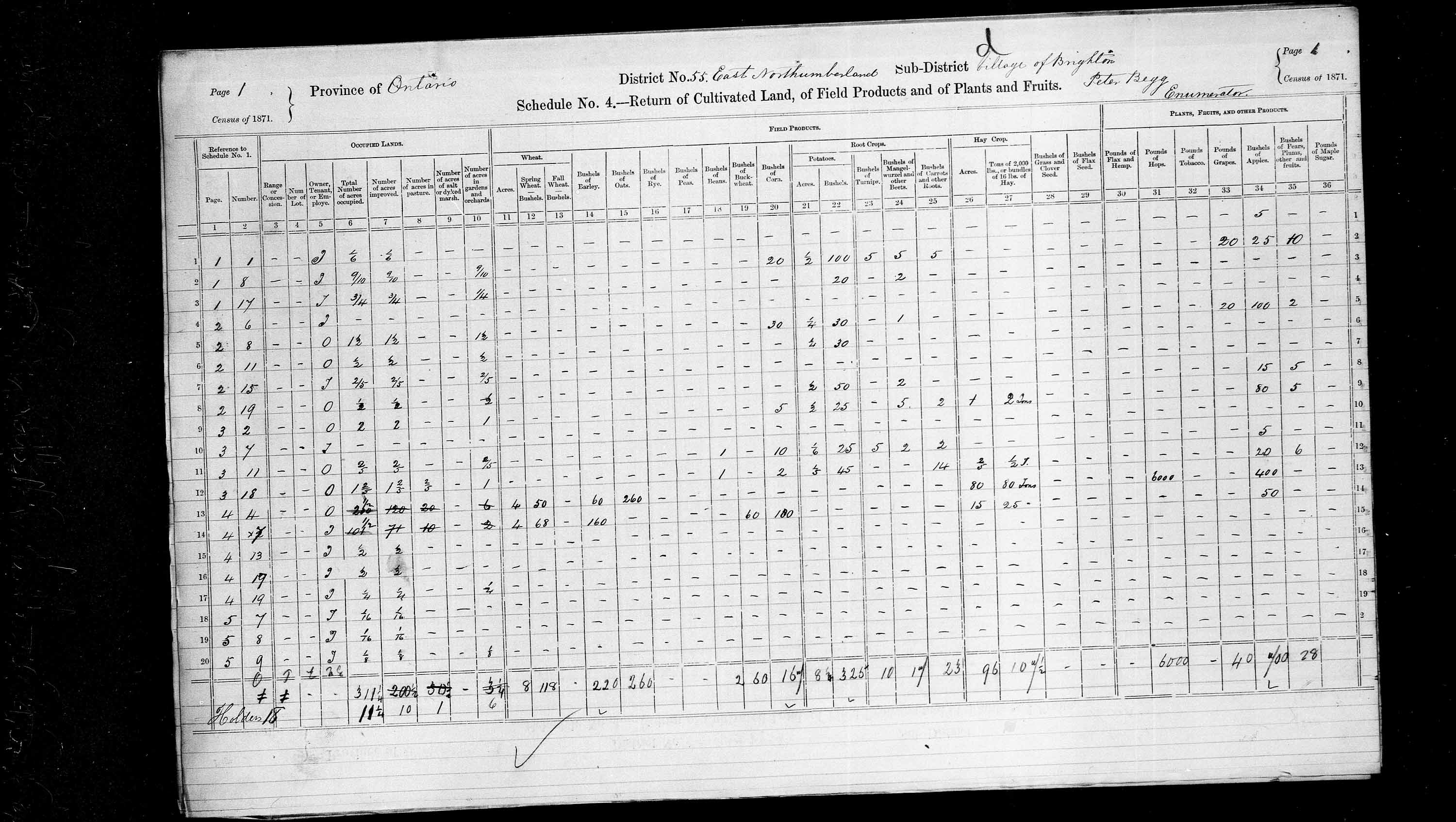 Title: Census of Canada, 1871 - Mikan Number: 142105 - Microform: c-9985