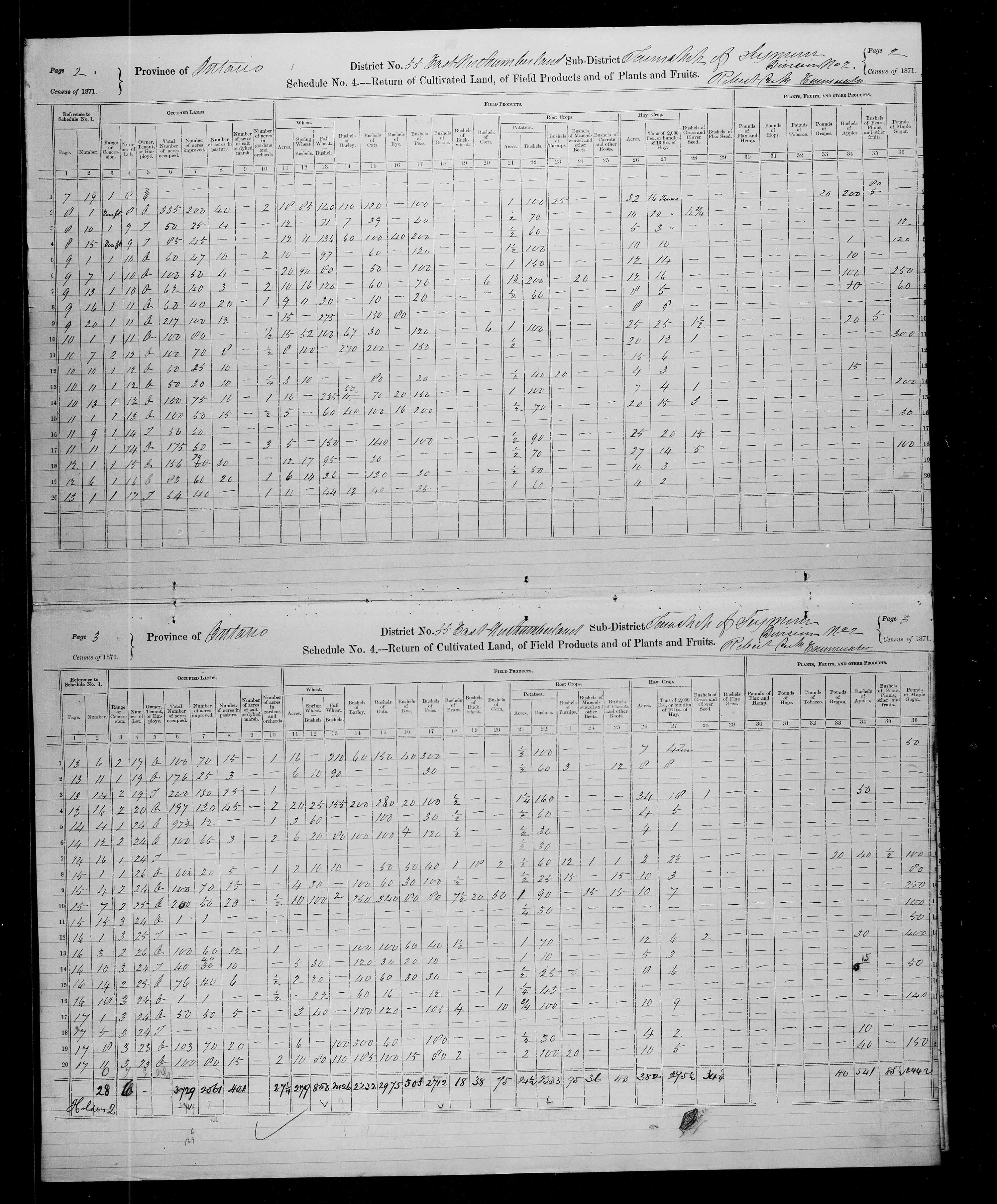 Title: Census of Canada, 1871 - Mikan Number: 142105 - Microform: c-9986