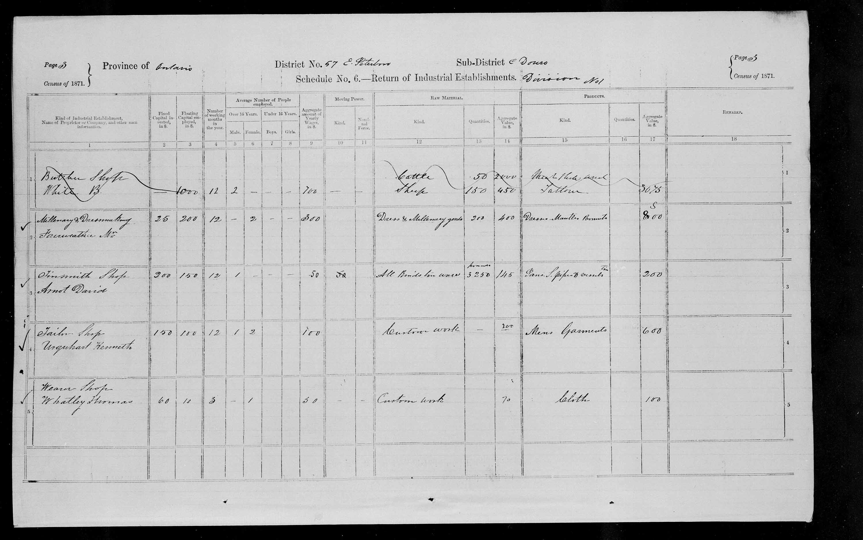Title: Census of Canada, 1871 - Mikan Number: 142105 - Microform: c-9987