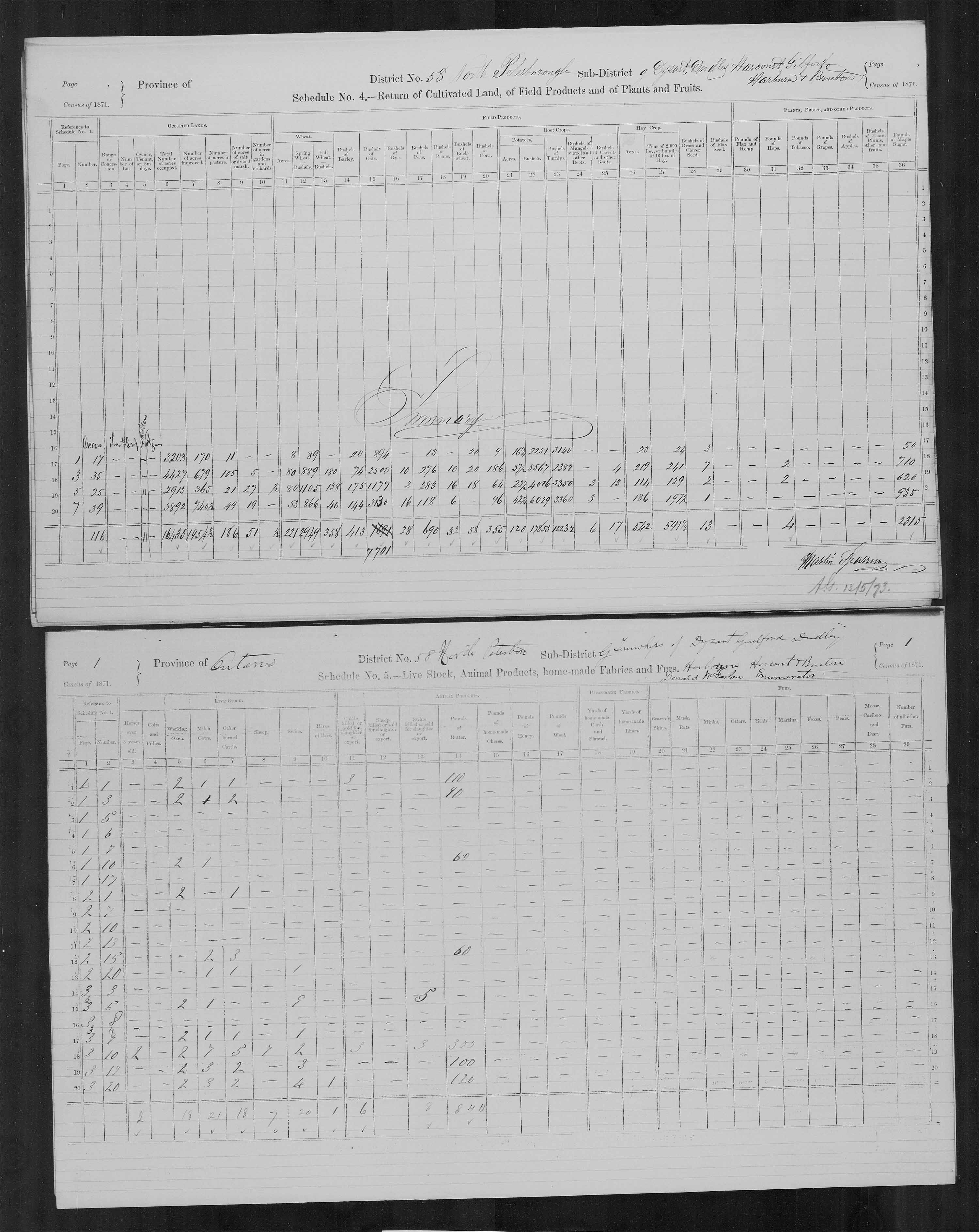 Title: Census of Canada, 1871 - Mikan Number: 142105 - Microform: c-9989