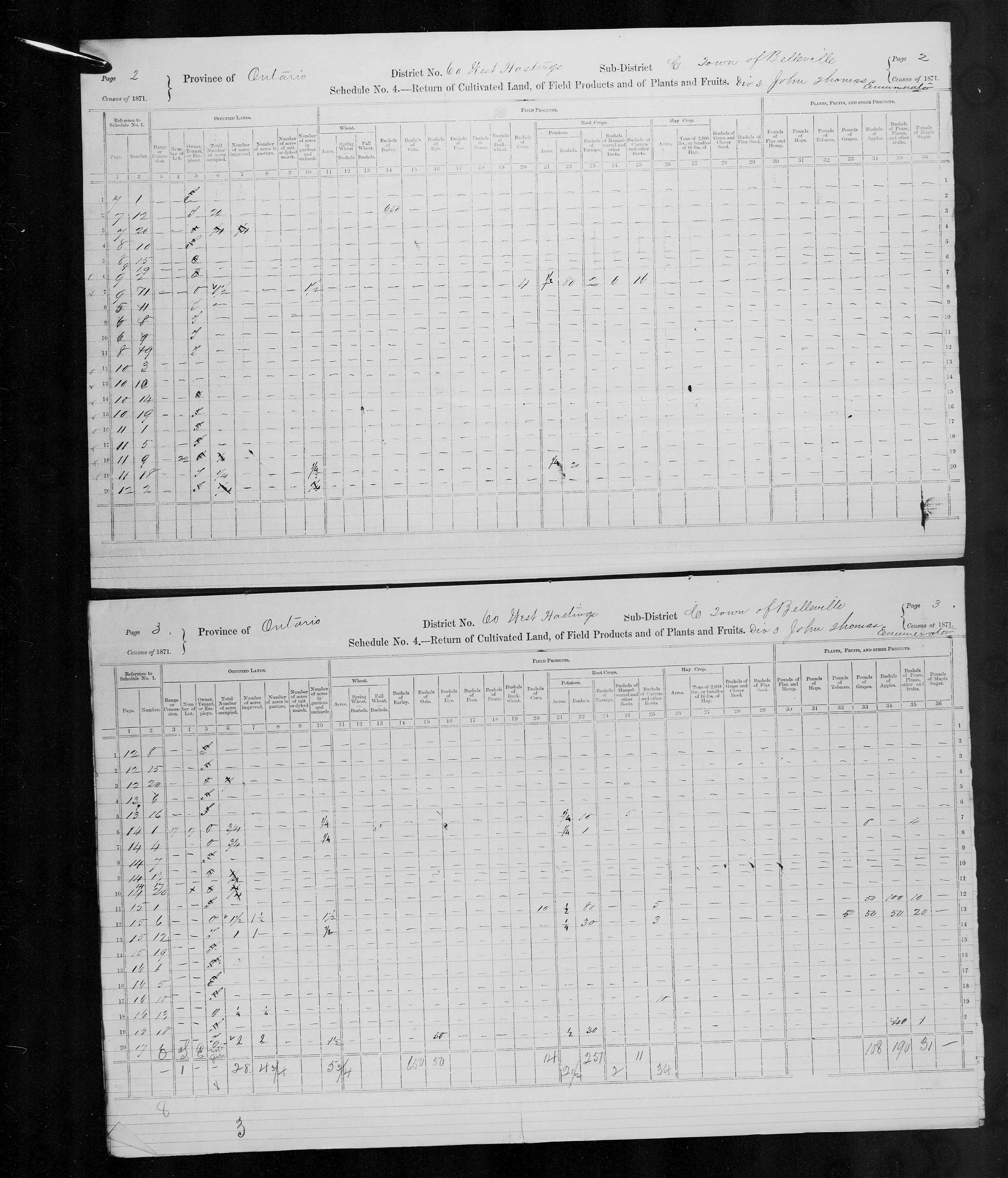 Title: Census of Canada, 1871 - Mikan Number: 142105 - Microform: c-9991