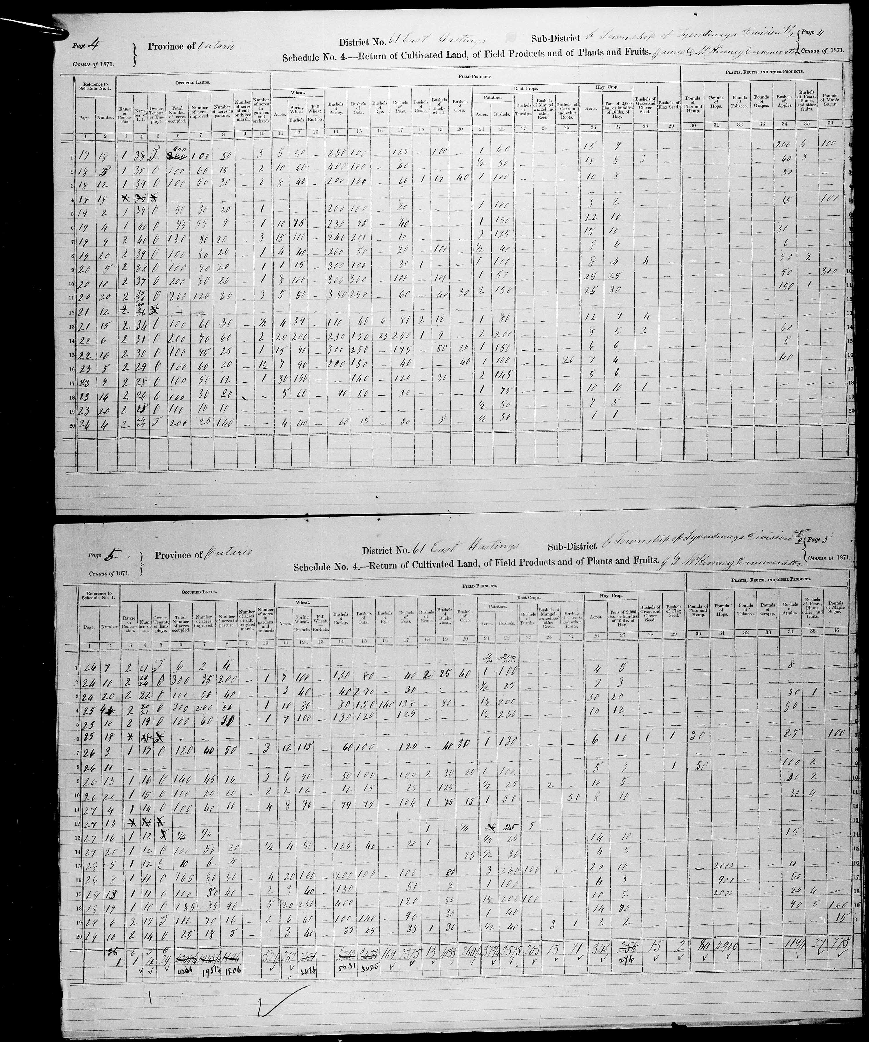 Title: Census of Canada, 1871 - Mikan Number: 142105 - Microform: c-9992